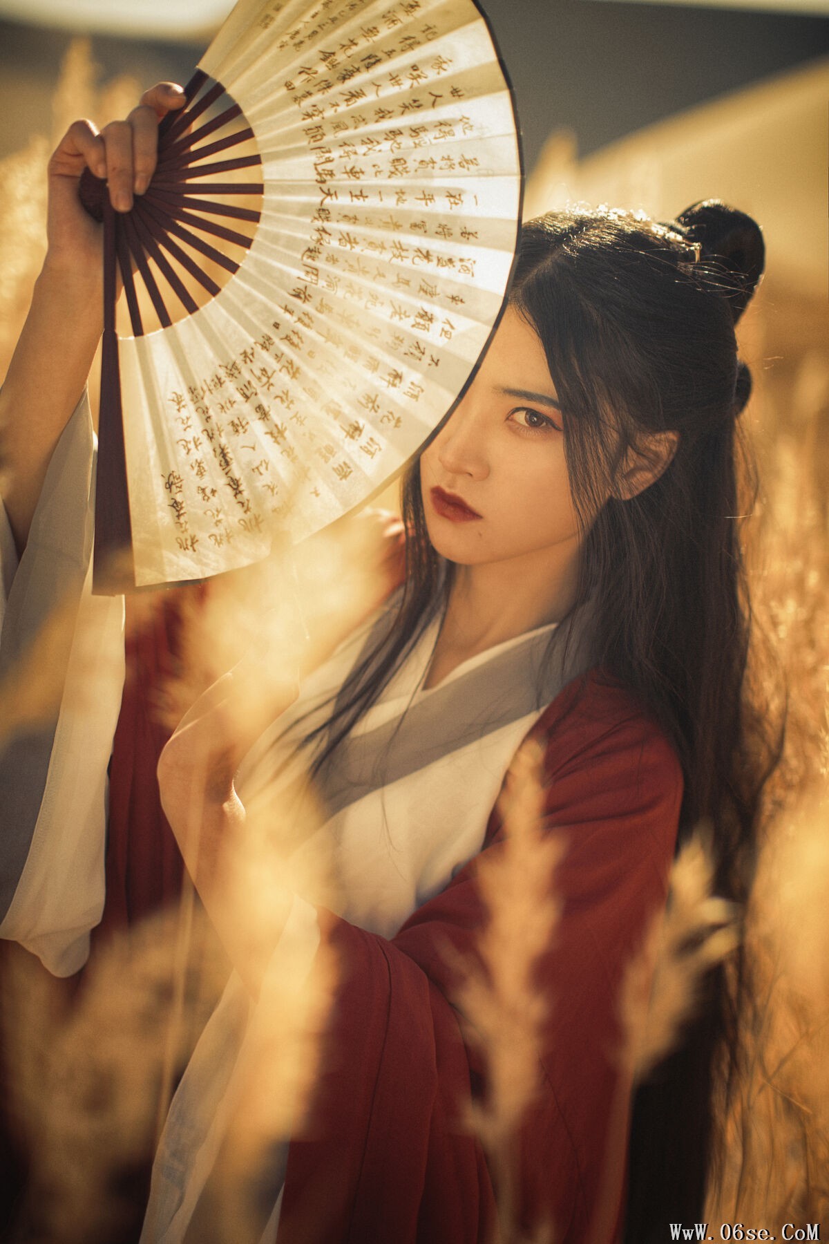 图片[11]-YiTuYu艺图语 Vol.7530 Dang Chu Jiao Ren Jia Xiao Tian Tian[26P]-六色网