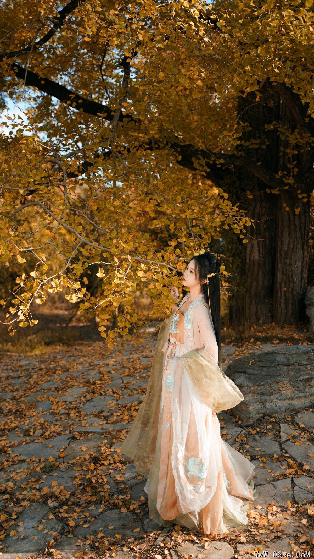 图片[3]-YiTuYu艺图语 Vol.3202 Wang Wang Xiao Xiao Shu[39P]-六色网