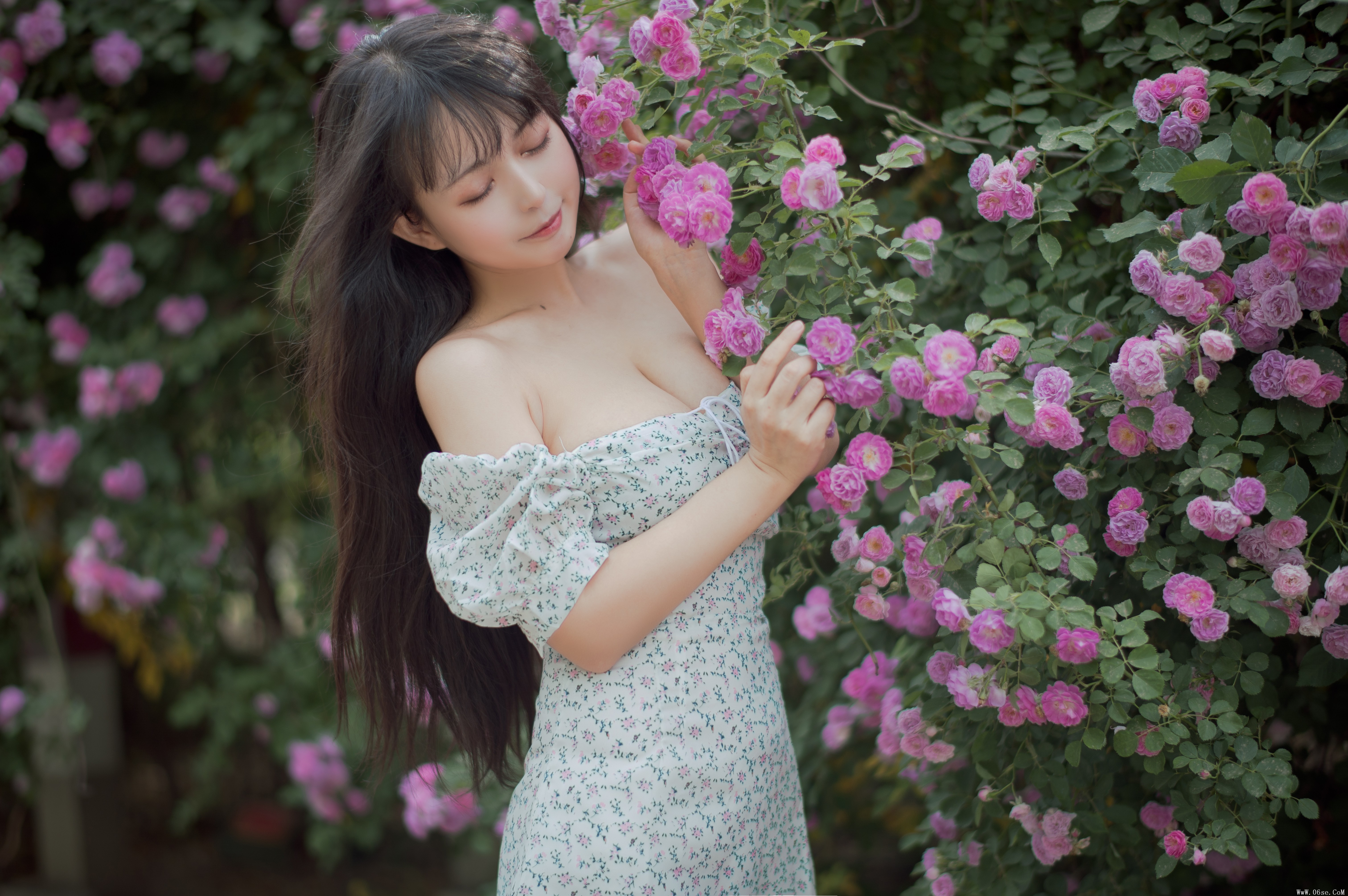 图片[4]-喵糖映画 VOL.338 蔷薇少女[24P／257MB]-六色网