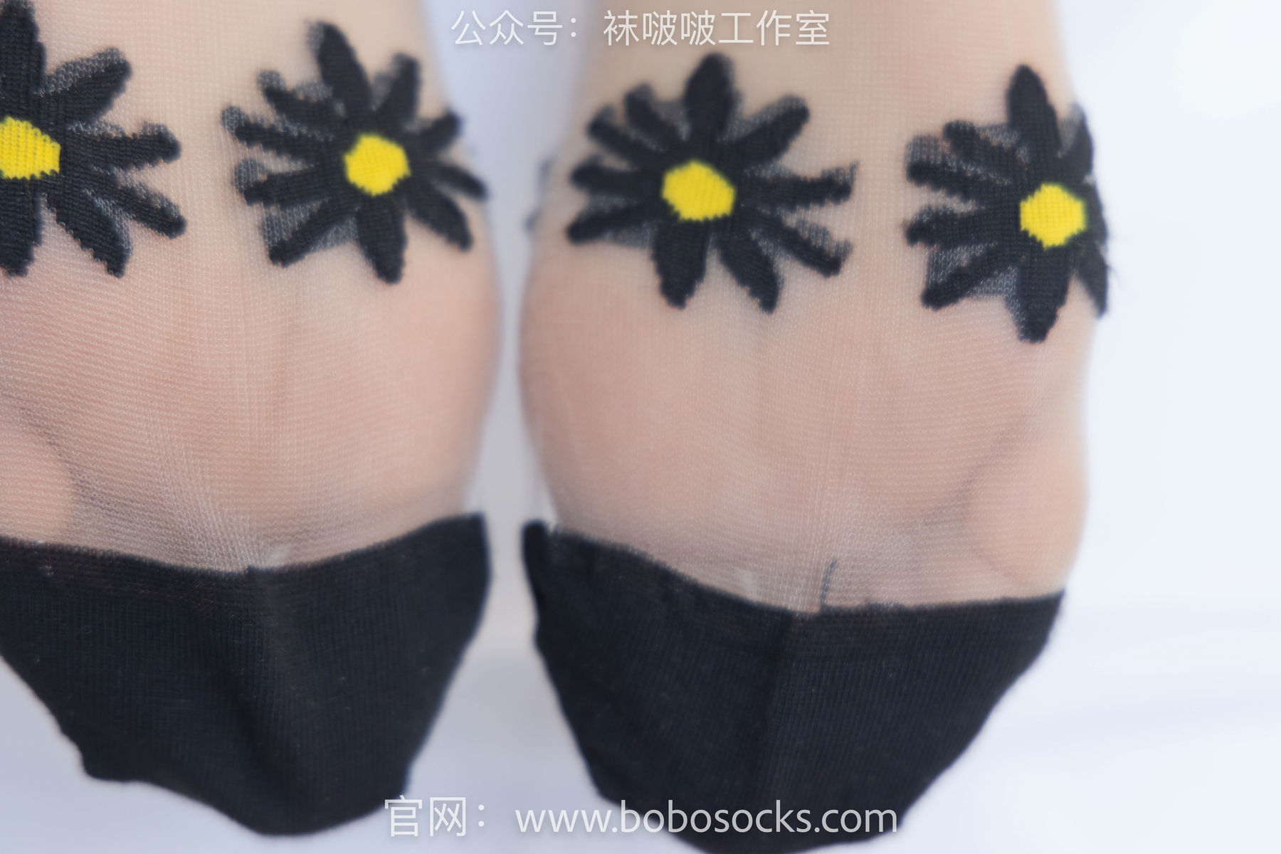 图片[85]-BoBoSocks袜啵啵 No.097 稚予-板鞋、玻璃丝短袜、肉丝[140P]-六色网