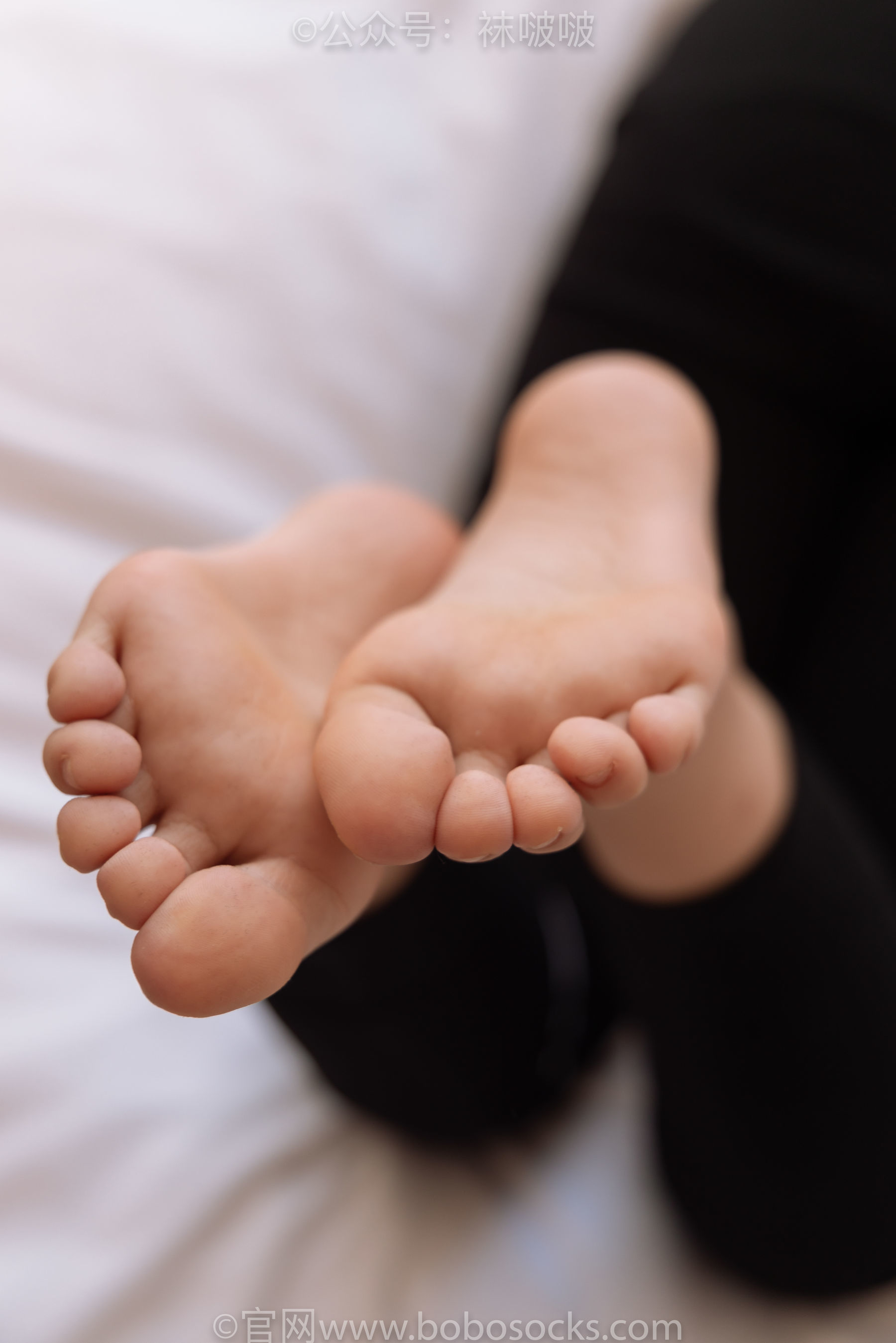 图片[120]-BoBoSocks袜啵啵 No.059 砂糖-AJ板鞋、白棉袜、裸足[142P]-六色网