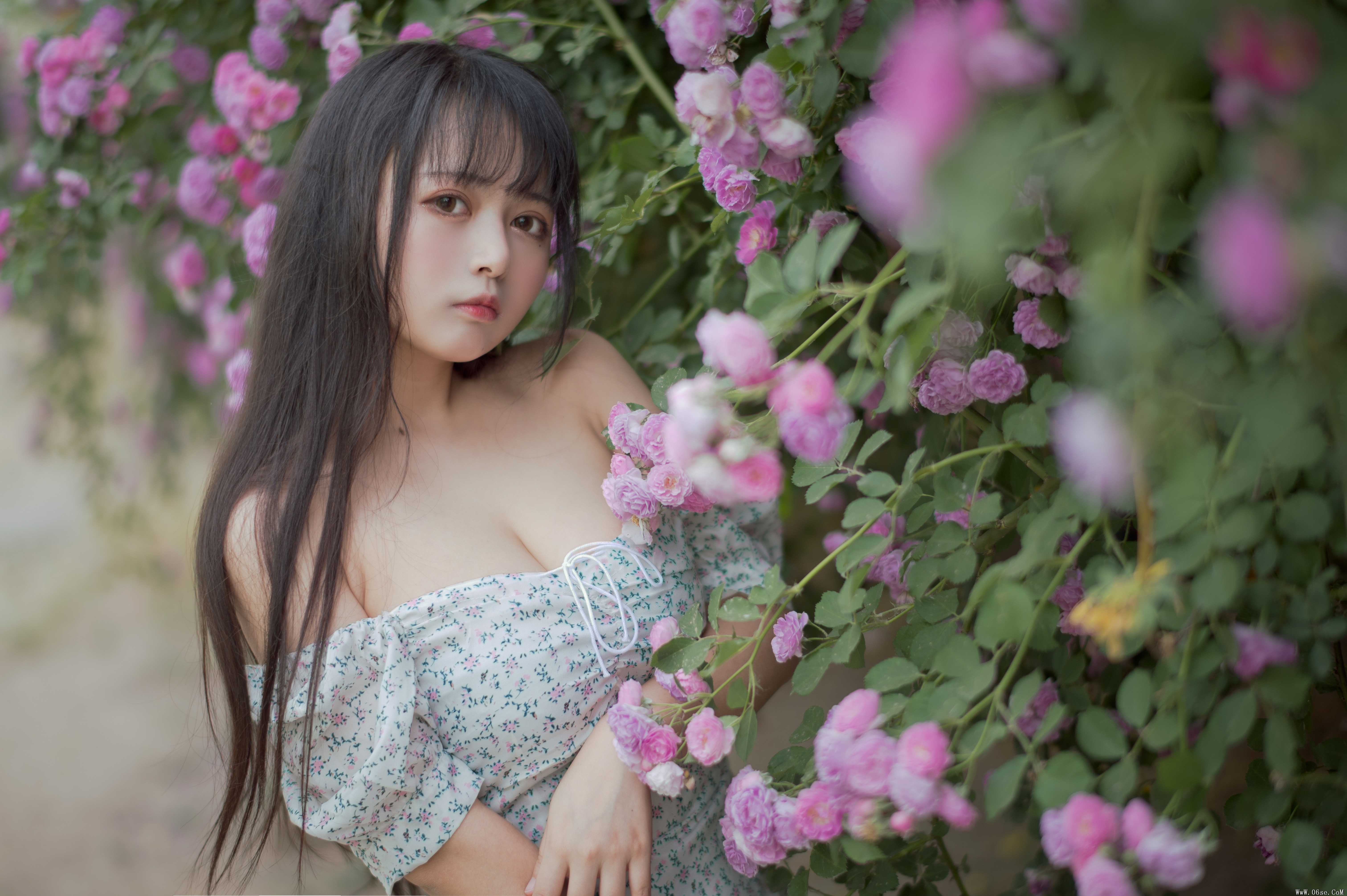 图片[13]-喵糖映画 VOL.338 蔷薇少女[24P／257MB]-六色网
