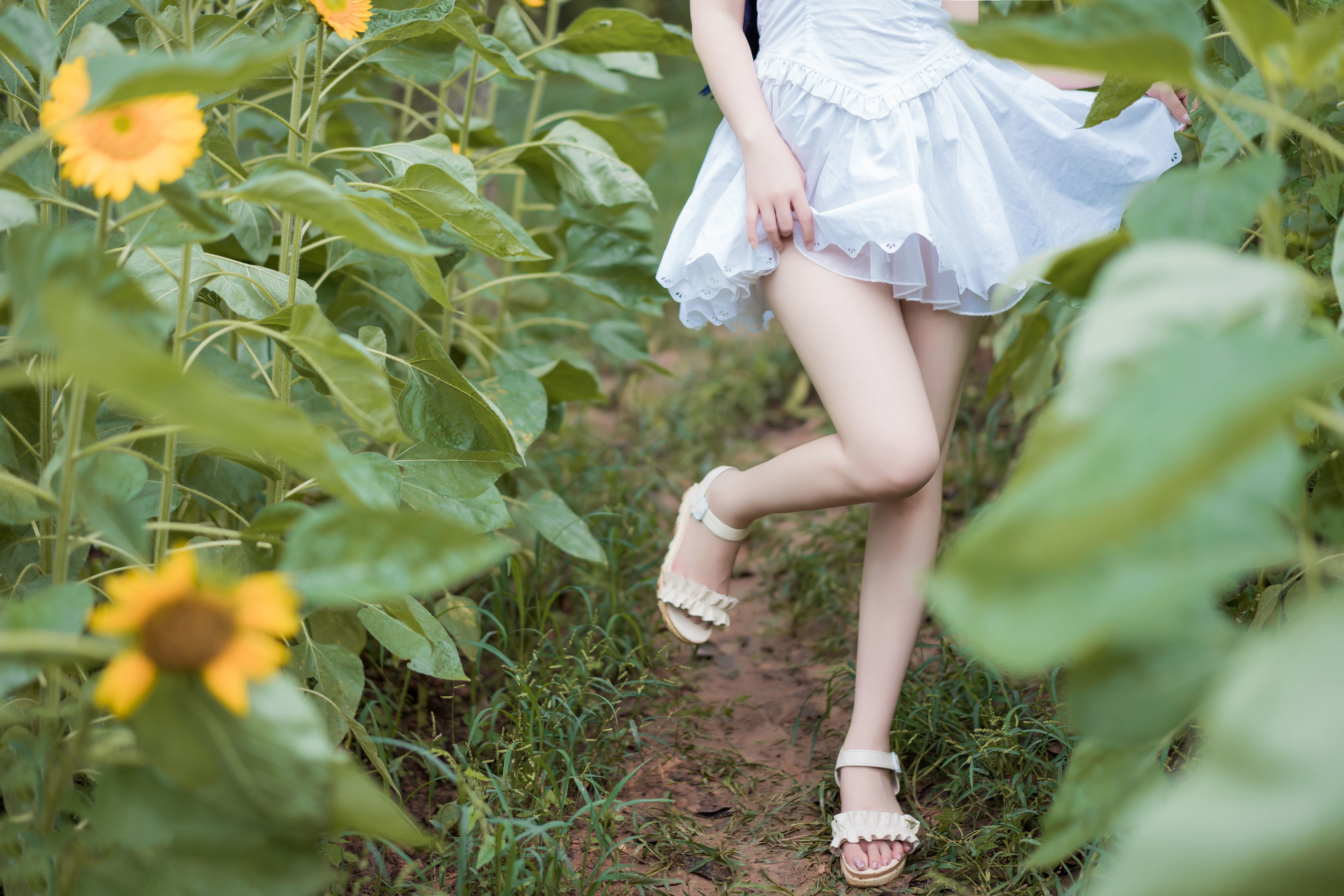 图片[22]-喵糖映画 VOL.414 花园白裙 [37P]-六色网