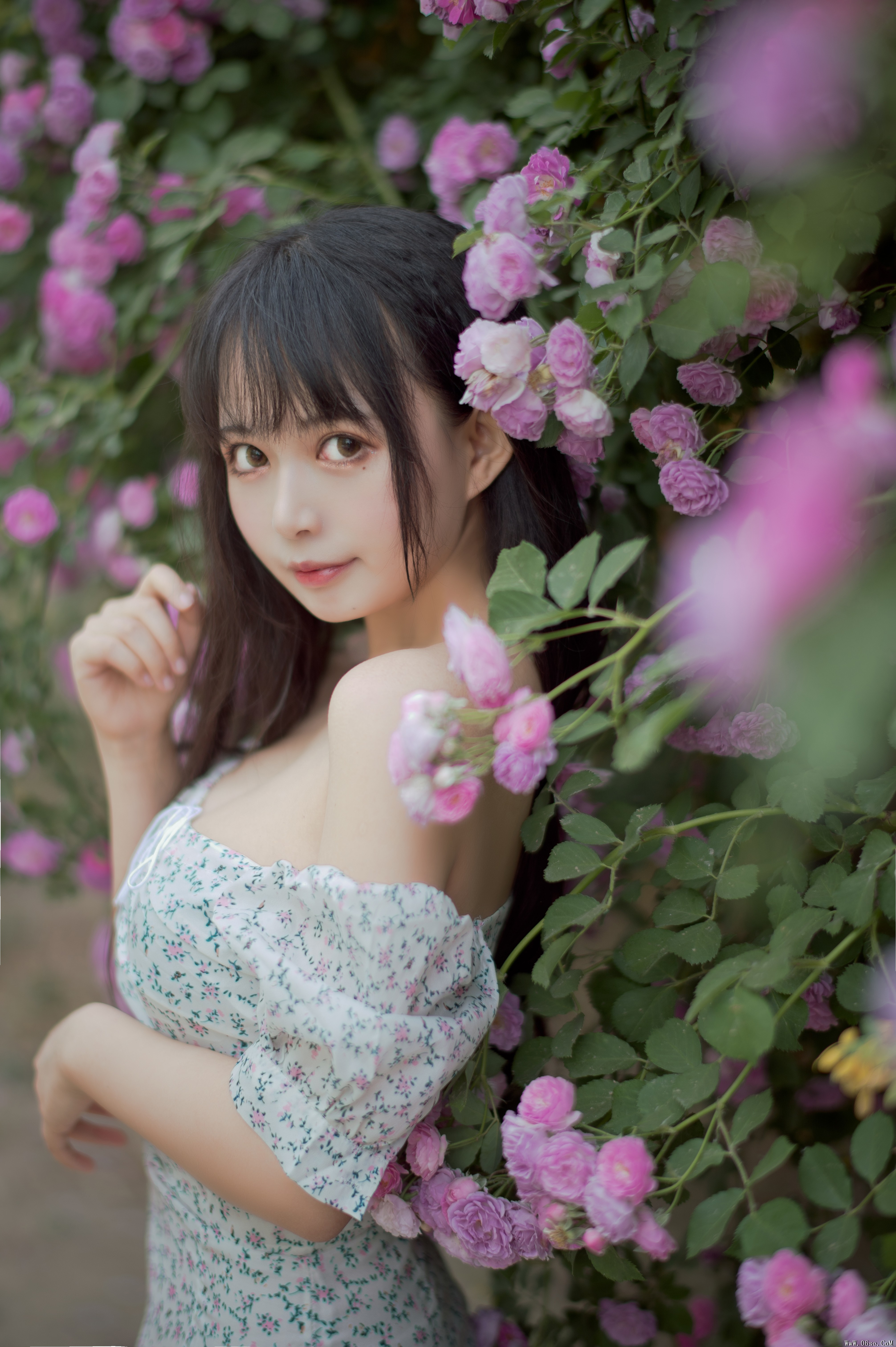 图片[23]-喵糖映画 VOL.338 蔷薇少女[24P／257MB]-六色网