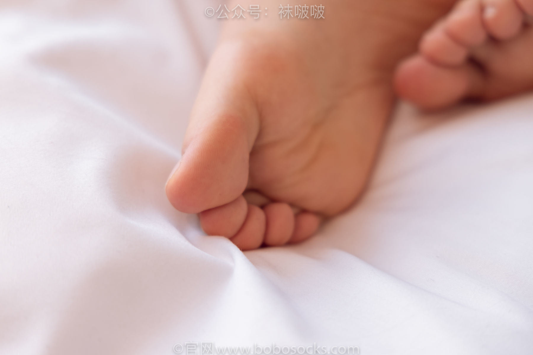 图片[133]-BoBoSocks袜啵啵 No.059 砂糖-AJ板鞋、白棉袜、裸足[142P]-六色网