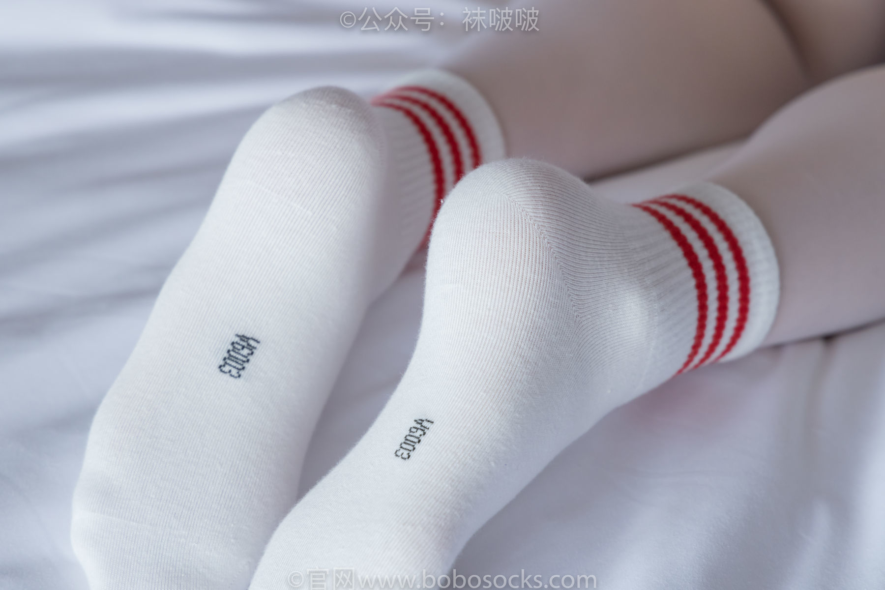 图片[74]-BoBoSocks袜啵啵 积分限定作品004 熊熊-板鞋、白棉袜、白丝[139P]-六色网