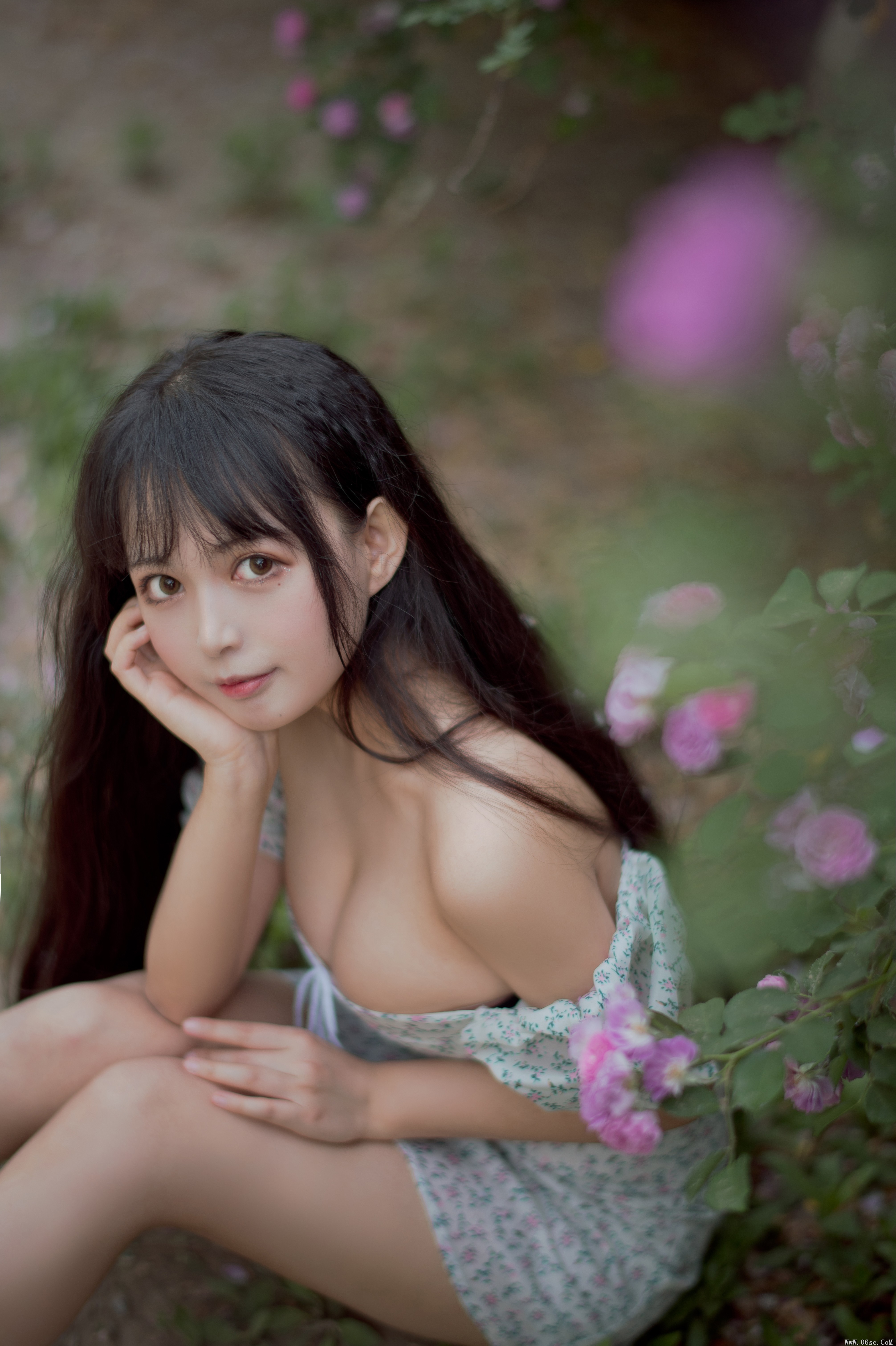 图片[3]-喵糖映画 VOL.338 蔷薇少女[24P／257MB]-六色网
