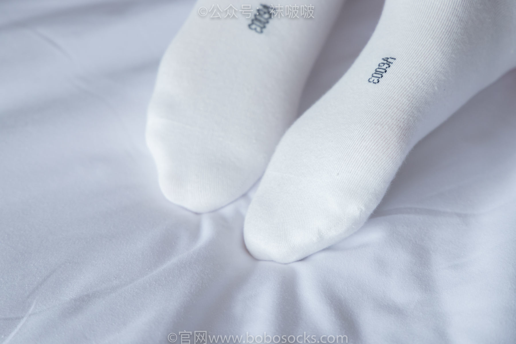 图片[75]-BoBoSocks袜啵啵 积分限定作品004 熊熊-板鞋、白棉袜、白丝[139P]-六色网