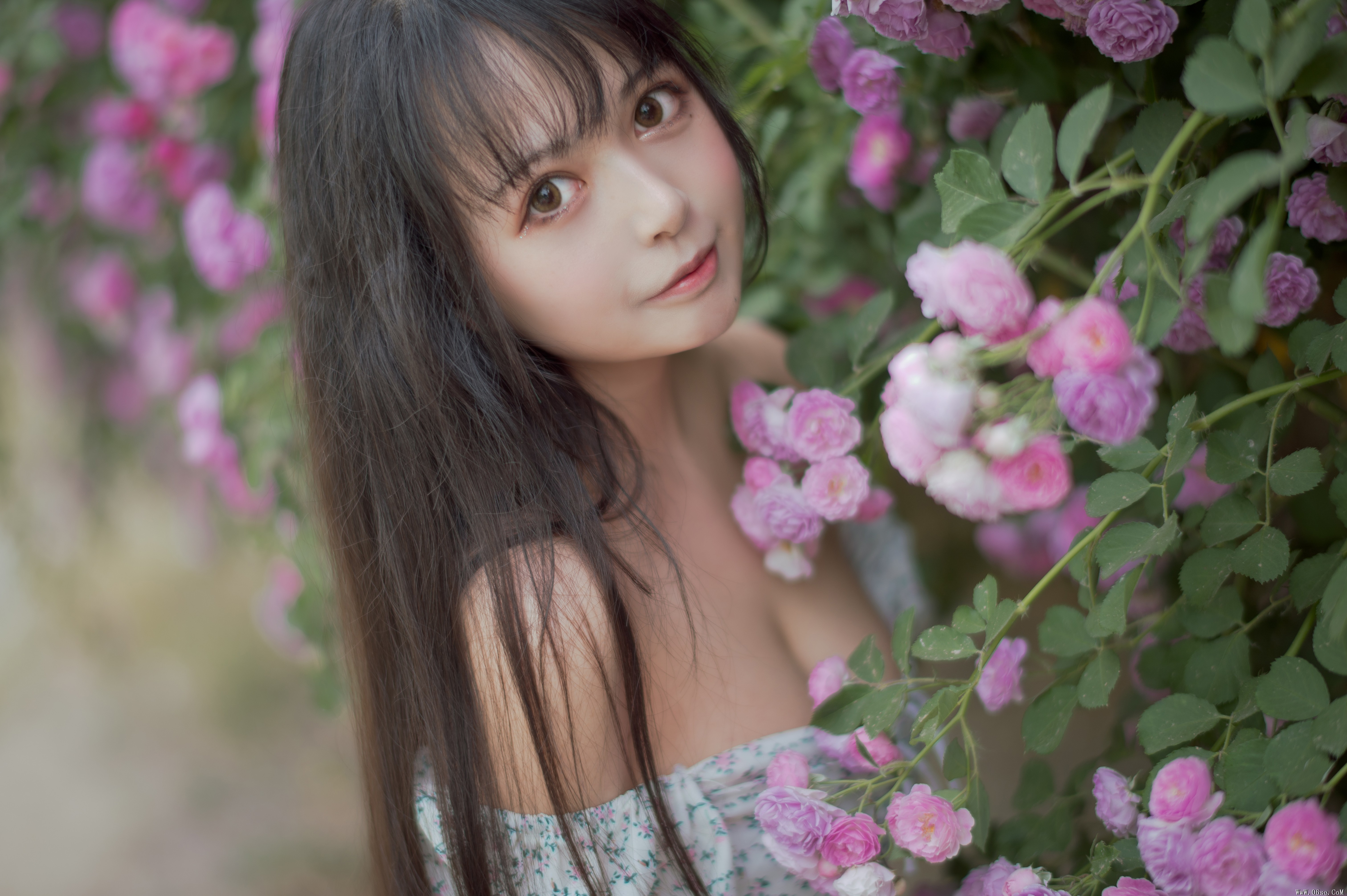 图片[17]-喵糖映画 VOL.338 蔷薇少女[24P／257MB]-六色网