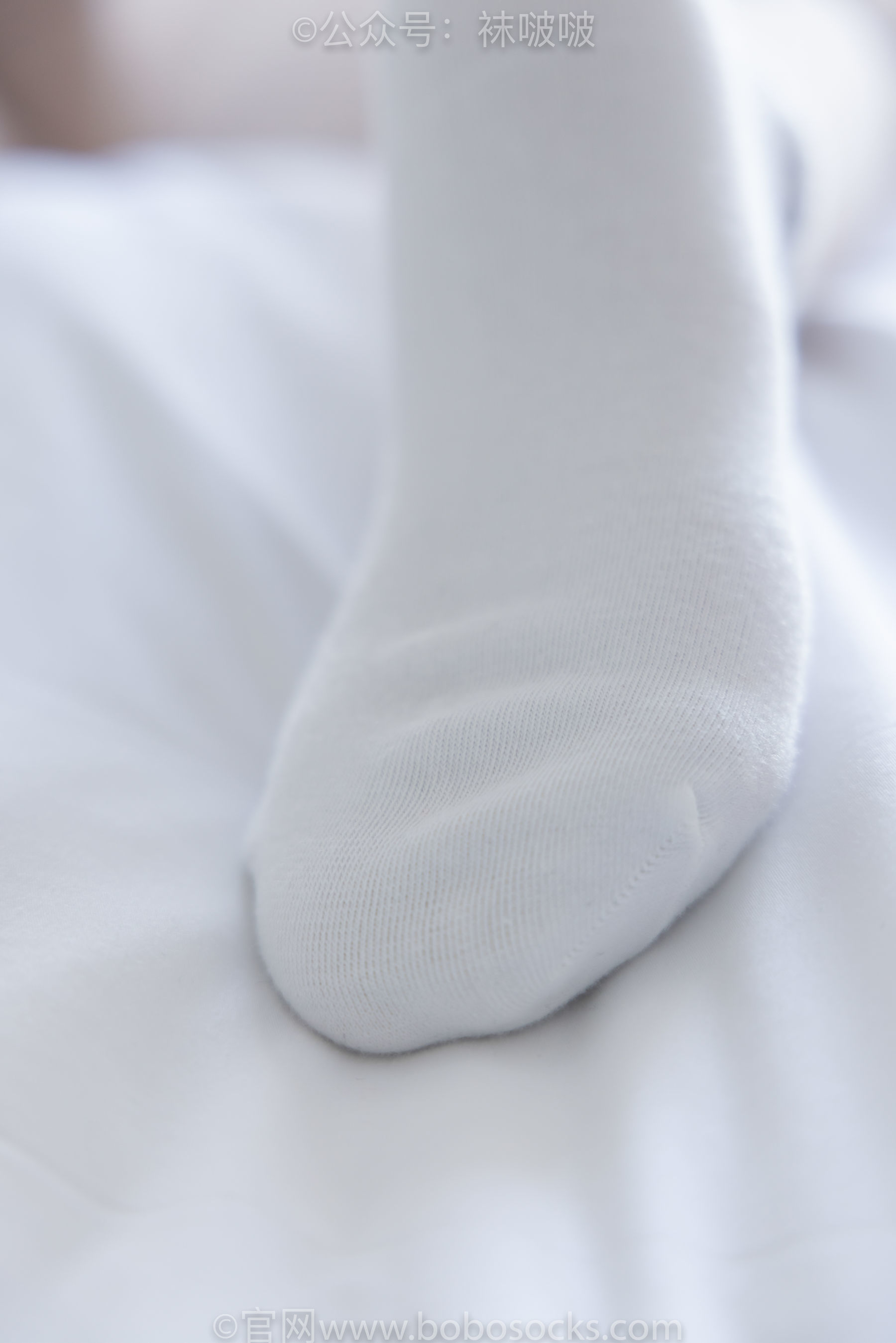 图片[72]-BoBoSocks袜啵啵 No.031 小奶熊-AJ板鞋、白棉袜、厚肉丝[148P]-六色网