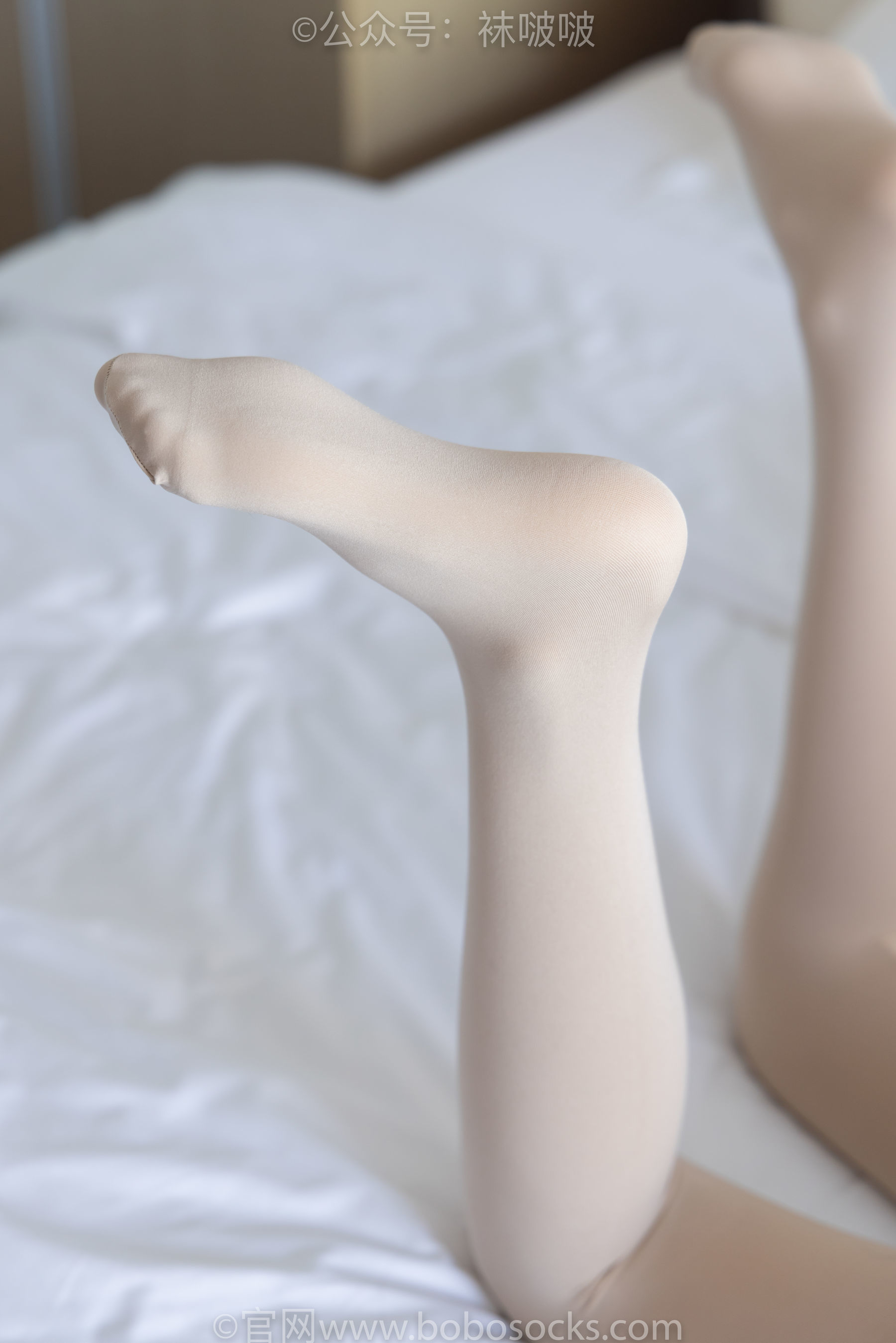 图片[105]-BoBoSocks袜啵啵 No.031 小奶熊-AJ板鞋、白棉袜、厚肉丝[148P]-六色网