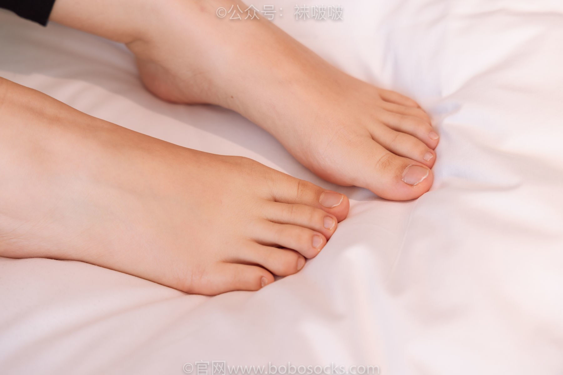 图片[137]-BoBoSocks袜啵啵 No.059 砂糖-AJ板鞋、白棉袜、裸足[142P]-六色网