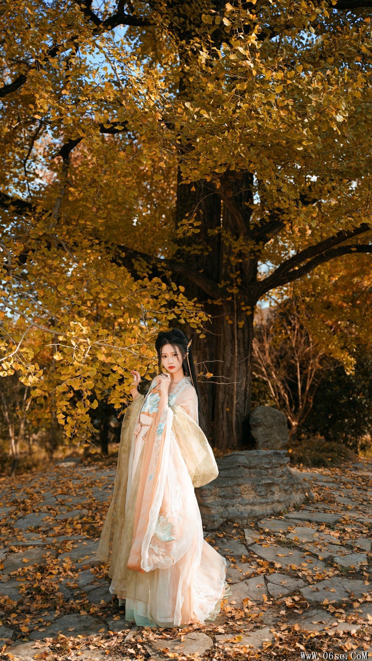 图片[4]-YiTuYu艺图语 Vol.3202 Wang Wang Xiao Xiao Shu[39P]-六色网