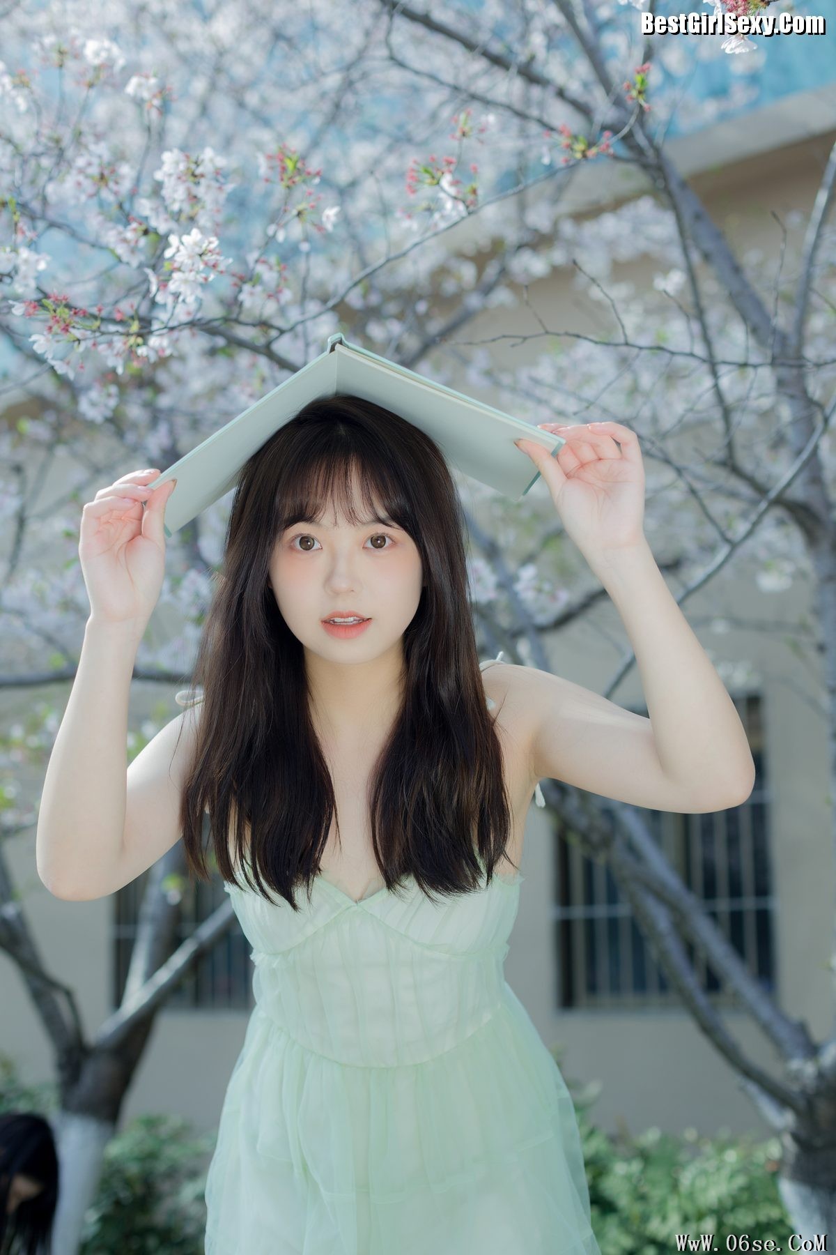 图片[6]-YiTuYu艺图语 Vol.4075 Ha Ji Ma Hua[34P]-六色网
