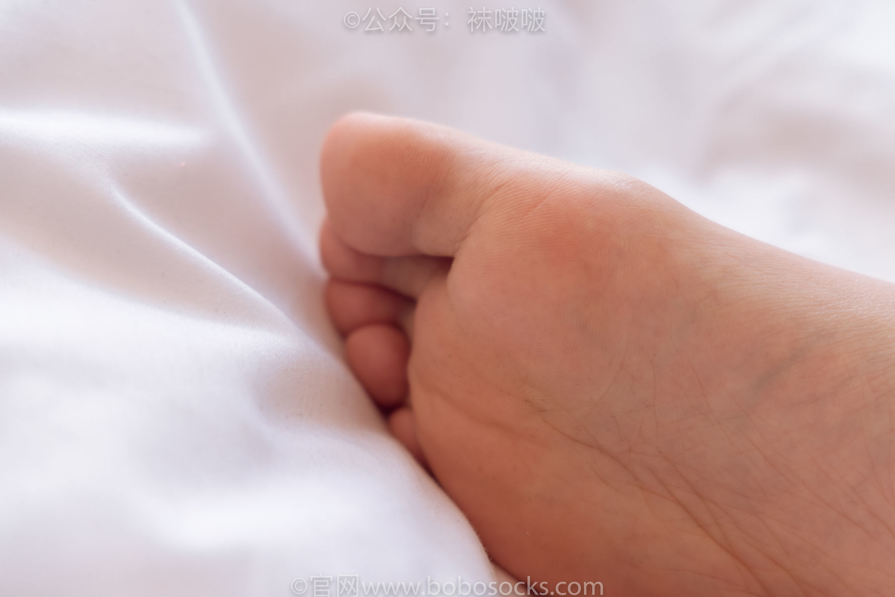 图片[90]-BoBoSocks袜啵啵 No.059 砂糖-AJ板鞋、白棉袜、裸足[142P]-六色网