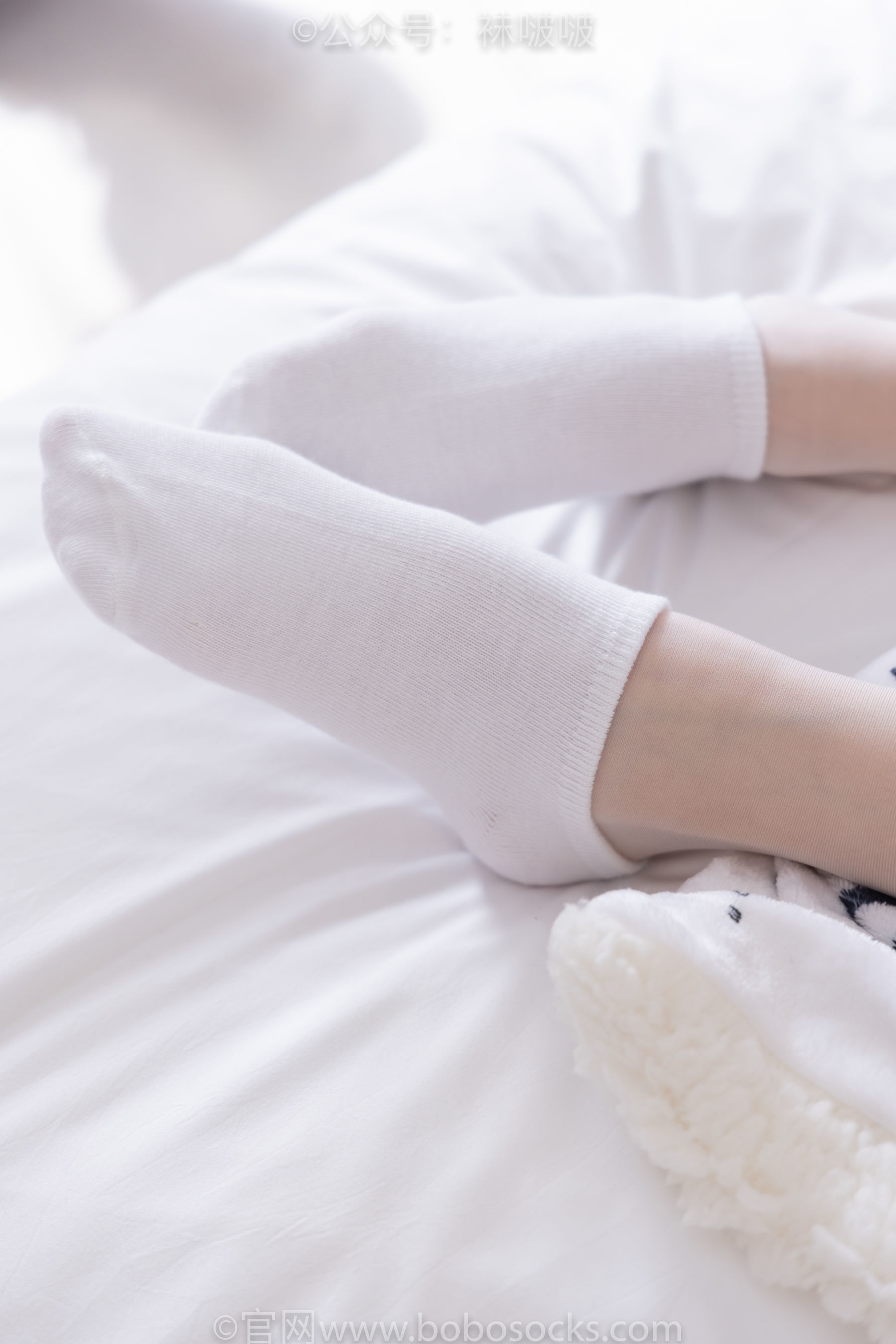 图片[41]-BoBoSocks袜啵啵 No.037 稚予-帆布鞋、短白棉袜、白丝[136P]-六色网