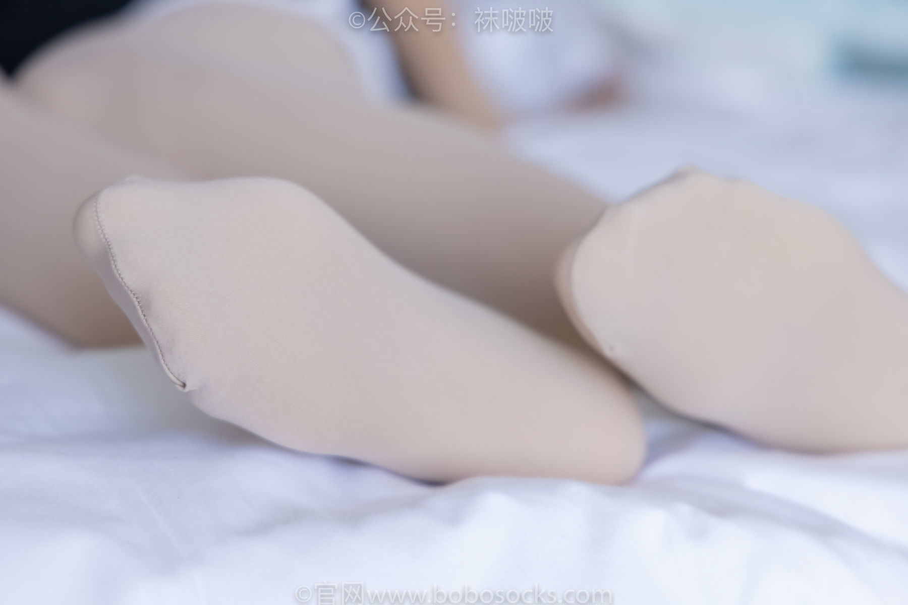 图片[89]-BoBoSocks袜啵啵 No.031 小奶熊-AJ板鞋、白棉袜、厚肉丝[148P]-六色网