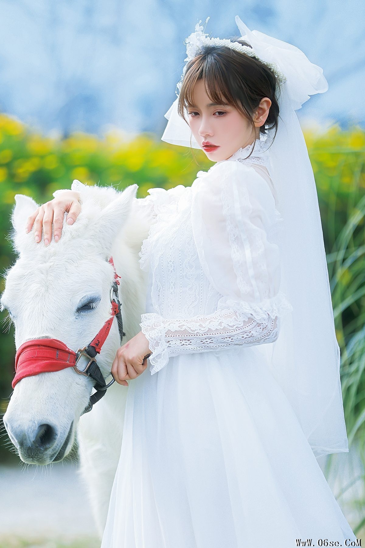 YiTuYu艺图语 Vol.3405 Lin Mu Ting Zi[24P]-六色网