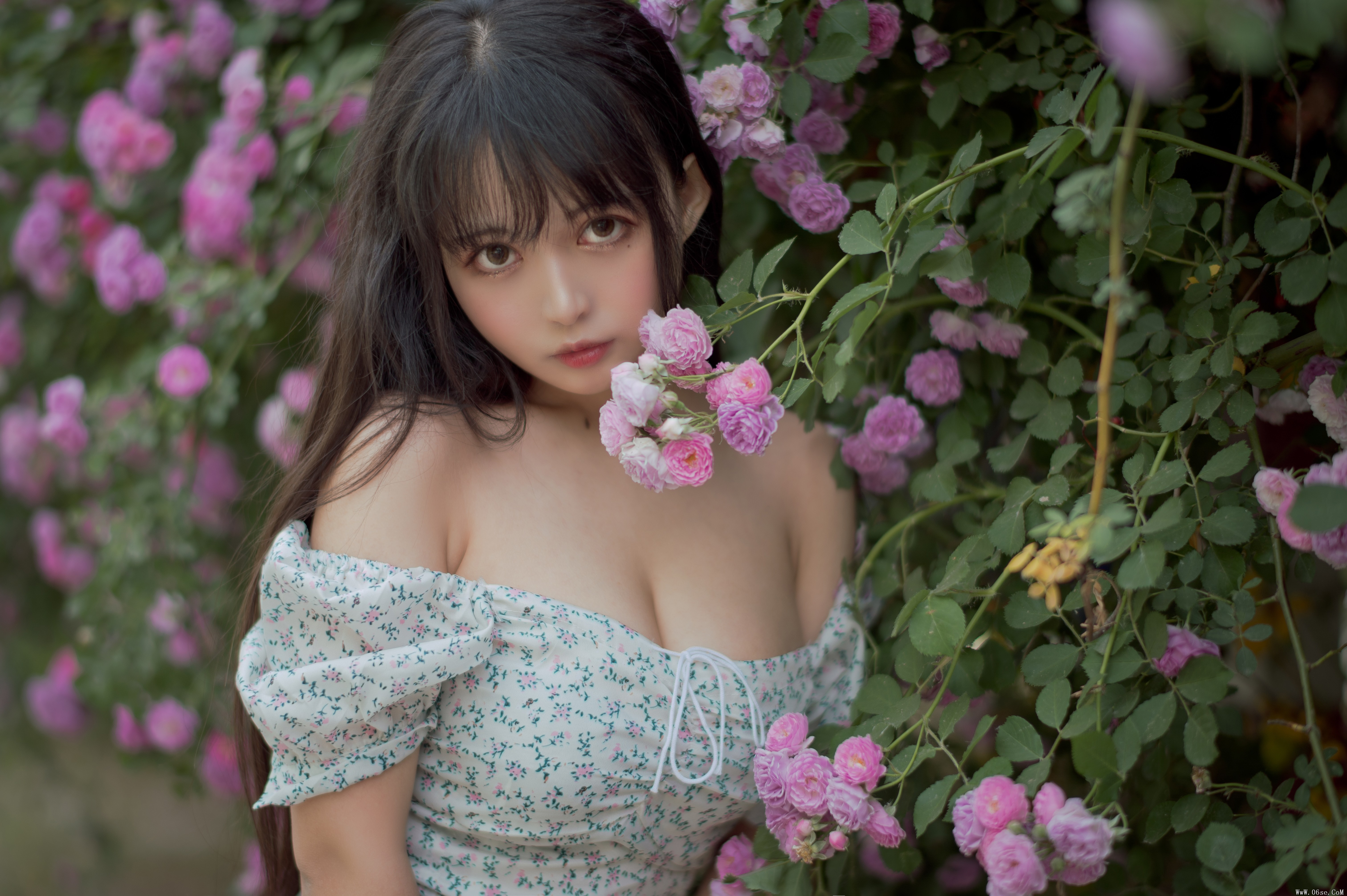 图片[11]-喵糖映画 VOL.338 蔷薇少女[24P／257MB]-六色网
