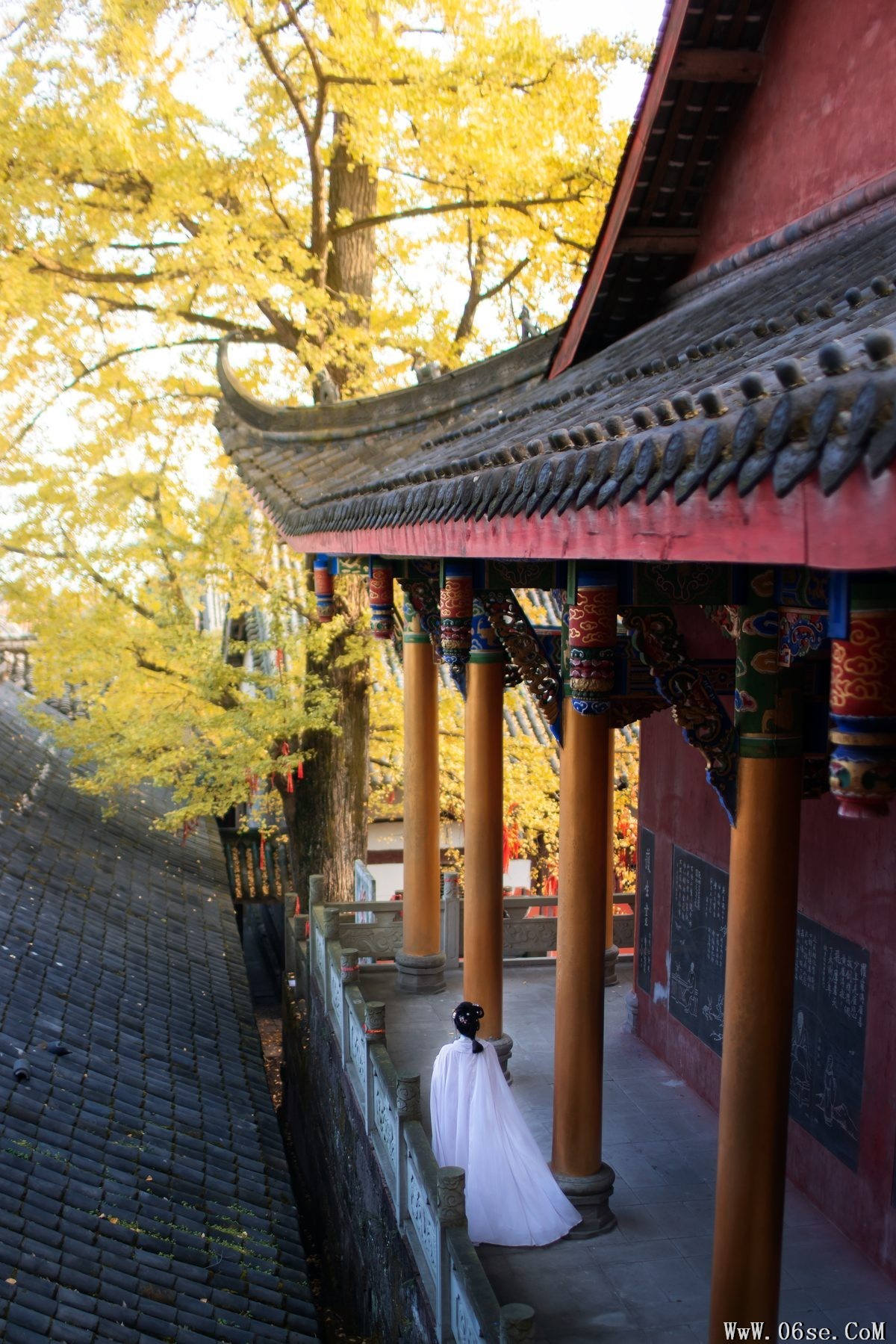 图片[23]-YiTuYu艺图语 Vol.3496 Mo Yan[30P]-六色网