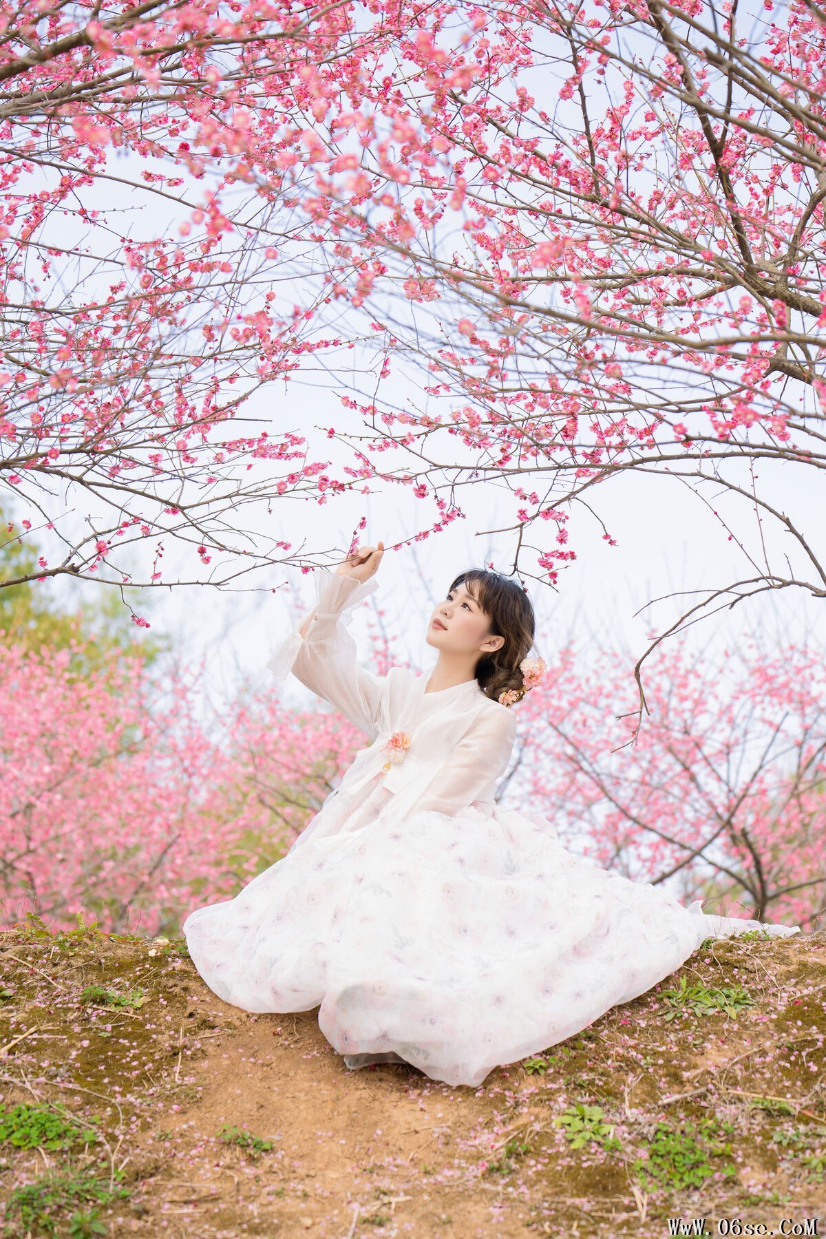 图片[24]-YiTuYu艺图语 Vol.6544 Pao Fu Xiao Fang[25P]-六色网