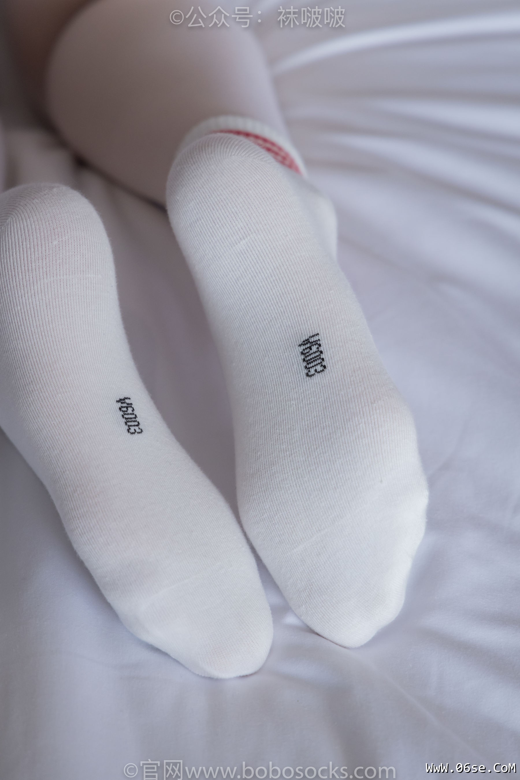 图片[72]-BoBoSocks袜啵啵 积分限定作品004 熊熊-板鞋、白棉袜、白丝[139P]-六色网