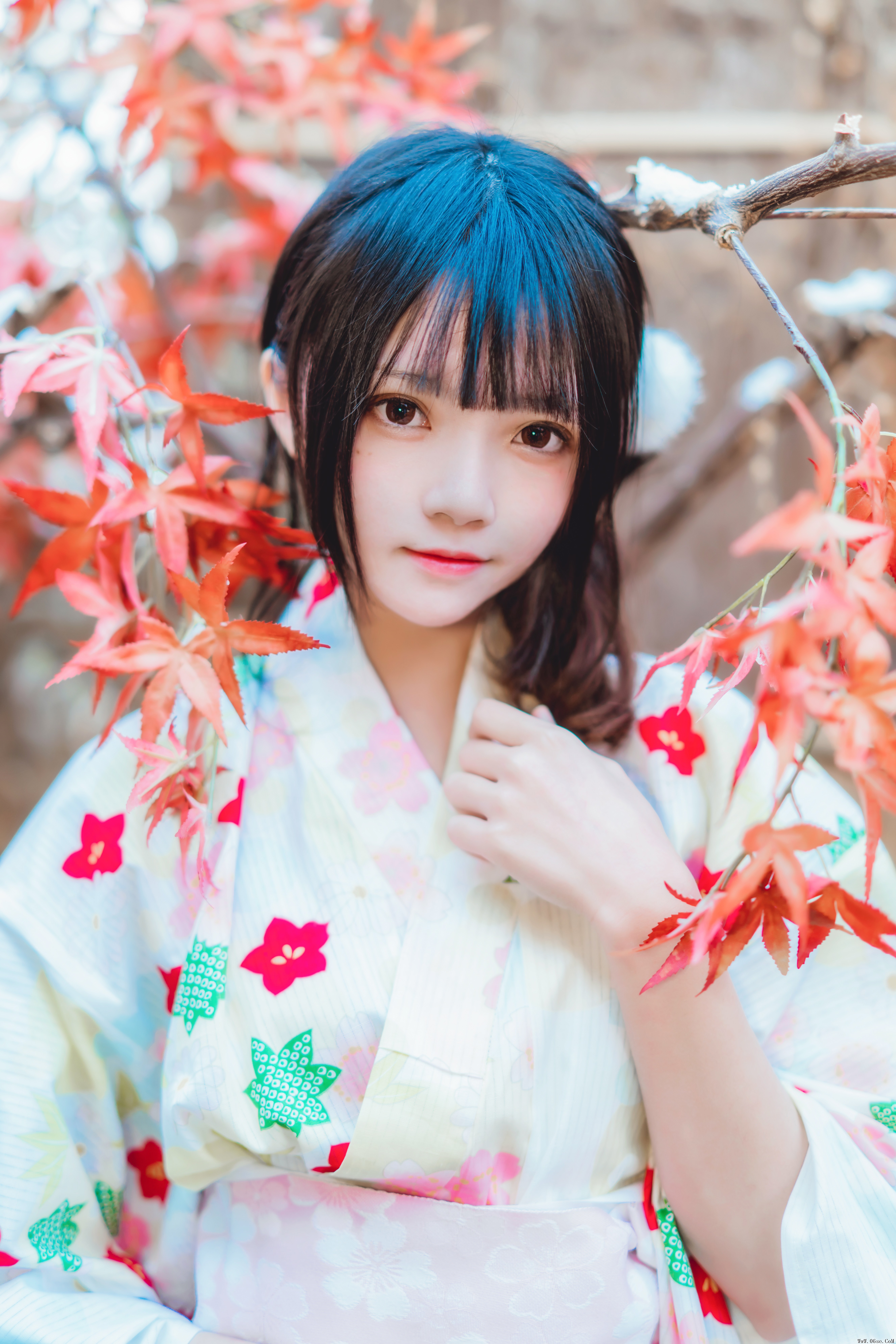 图片[23]-喵糖映画 VOL.234 和服少女[25P／464MB]-六色网