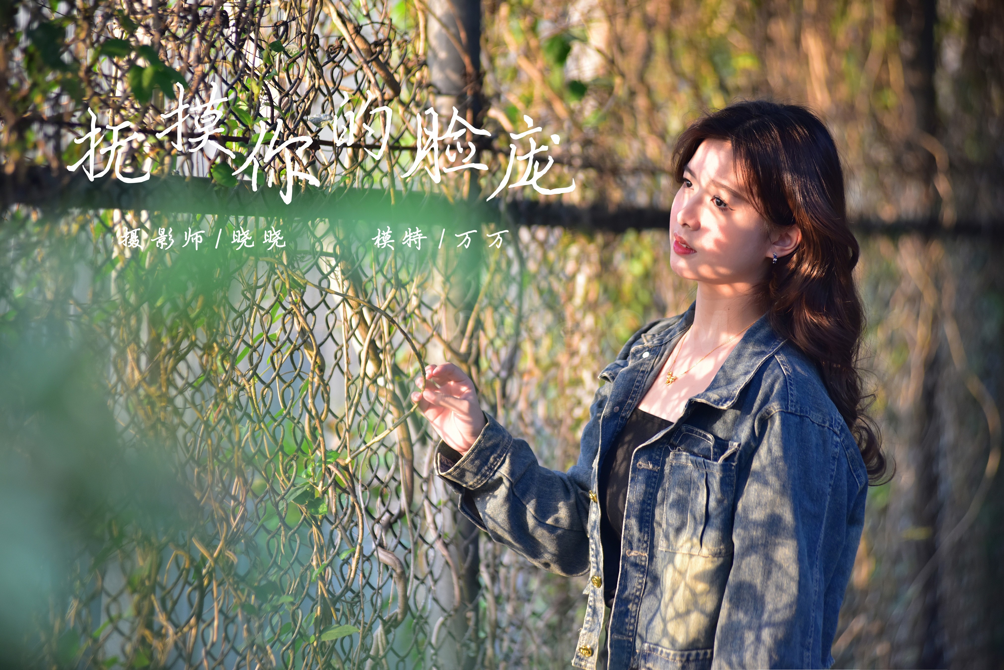 雅拉伊 - 依舒《抚摸你的脸庞》[41P]-六色网