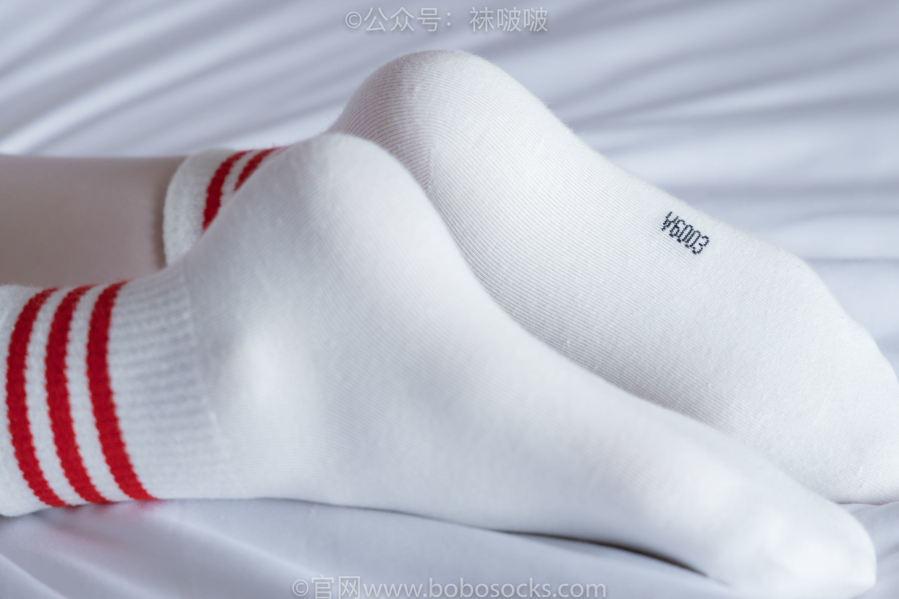 图片[68]-BoBoSocks袜啵啵 积分限定作品004 熊熊-板鞋、白棉袜、白丝[139P]-六色网