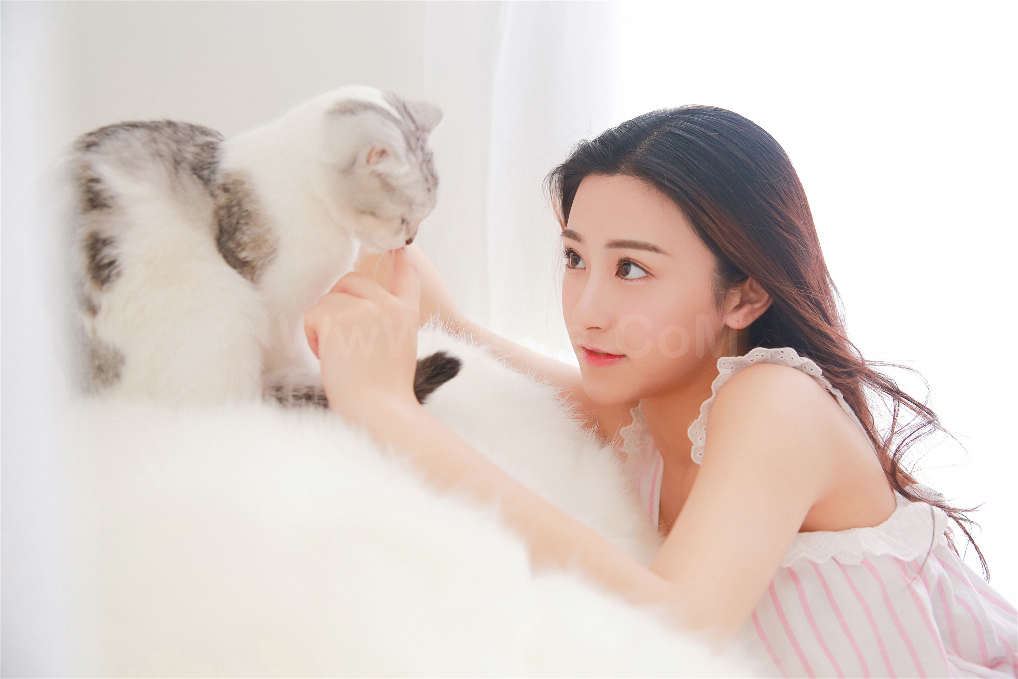 图片[7]-雅拉伊 – 《她的猫》[31P]-六色网