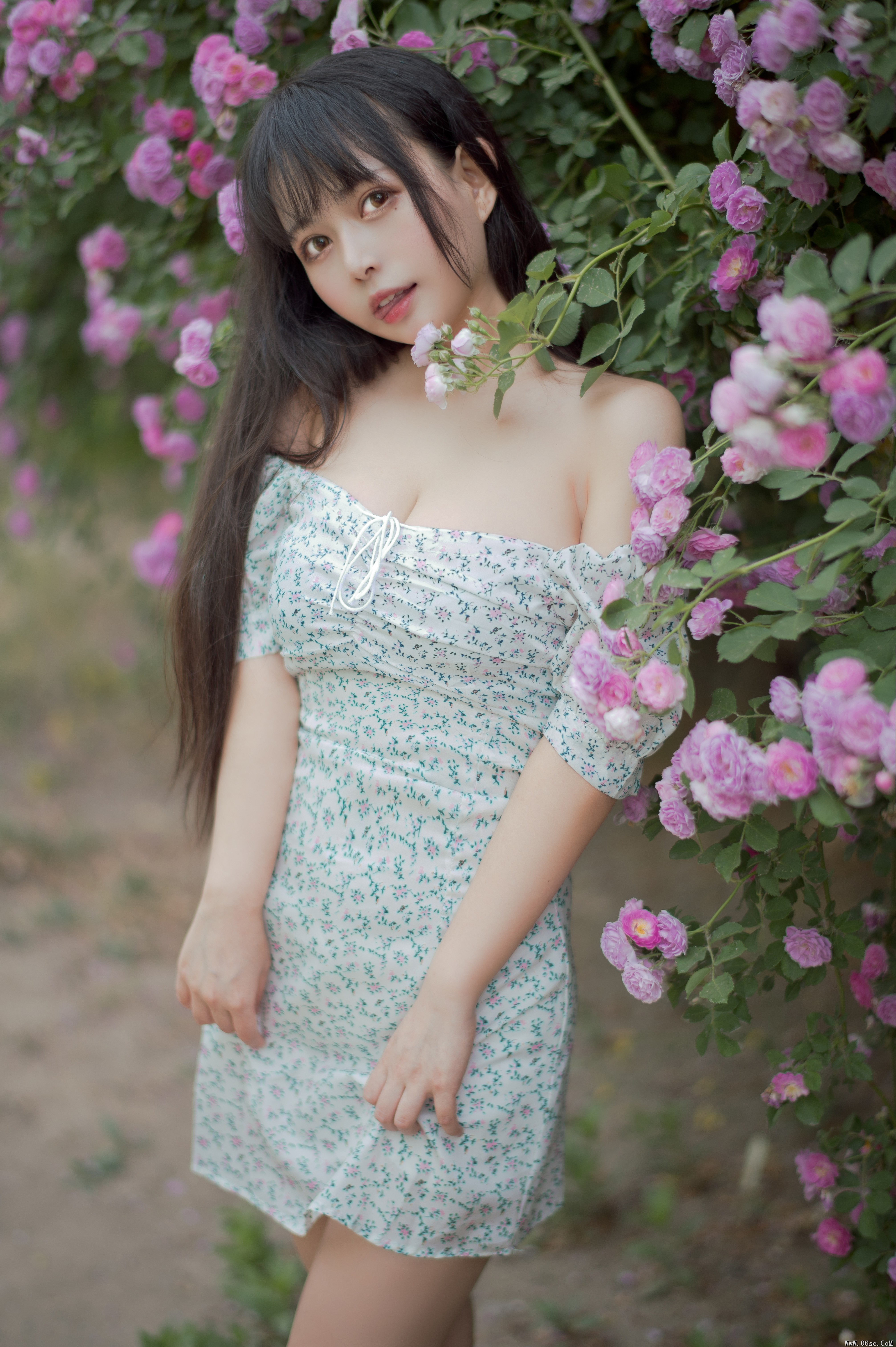 图片[24]-喵糖映画 VOL.338 蔷薇少女[24P／257MB]-六色网