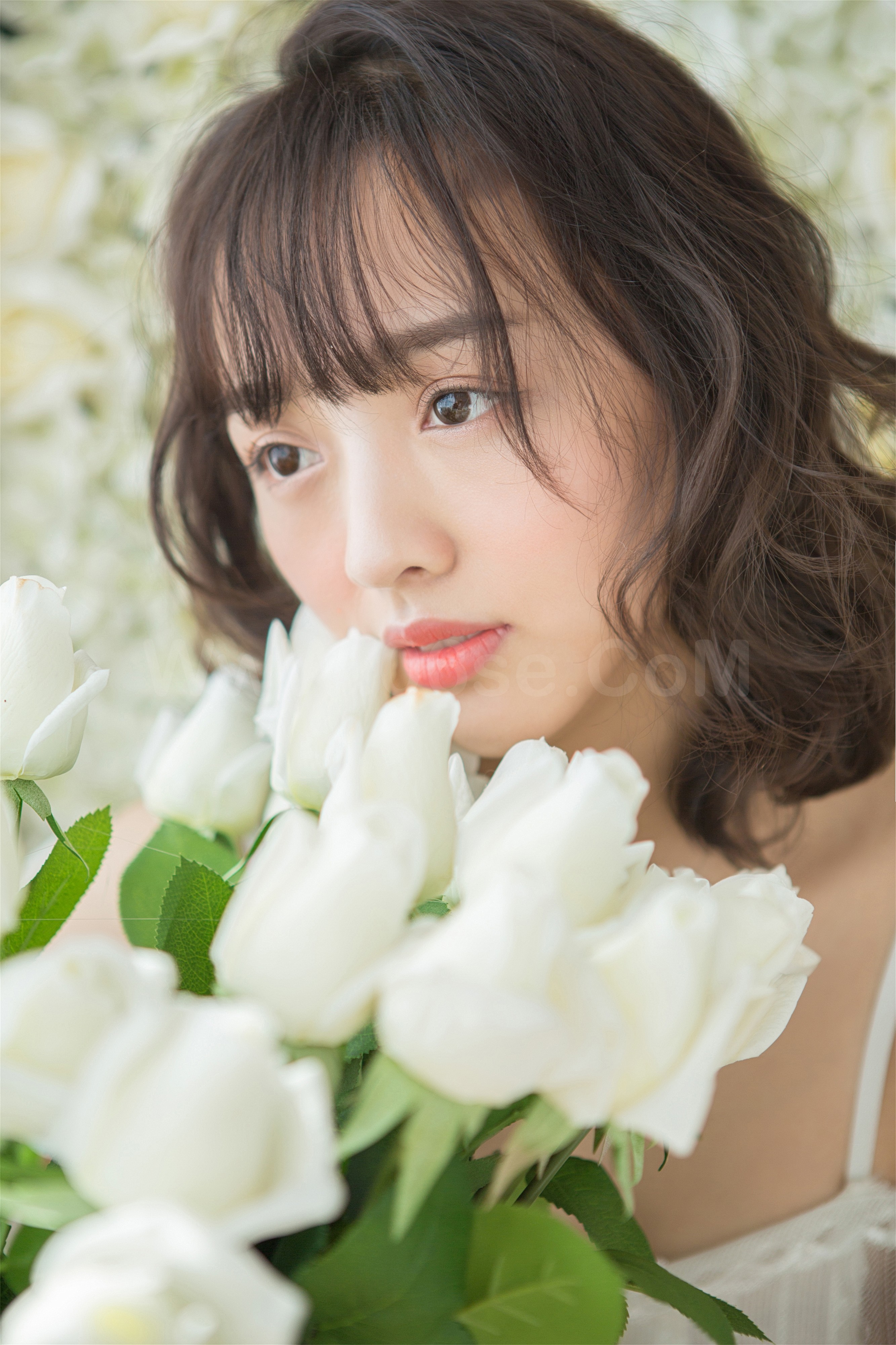 图片[21]-雅拉伊 – 《梦精灵》[29P]-六色网