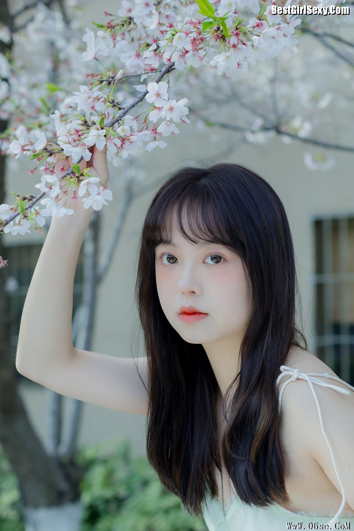 图片[21]-YiTuYu艺图语 Vol.4075 Ha Ji Ma Hua[34P]-六色网
