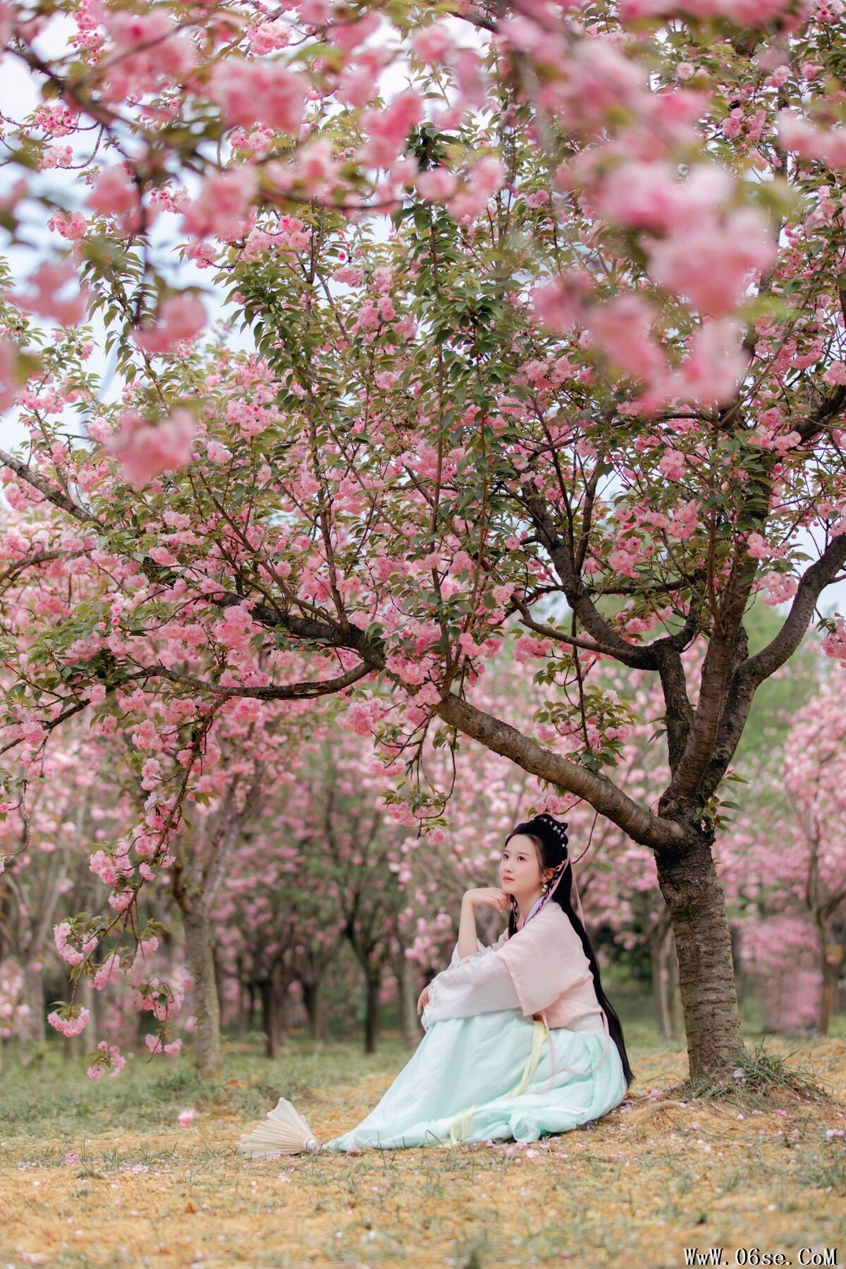 图片[17]-YiTuYu艺图语 Vol.7042 Zhou Mi Fan[26P]-六色网