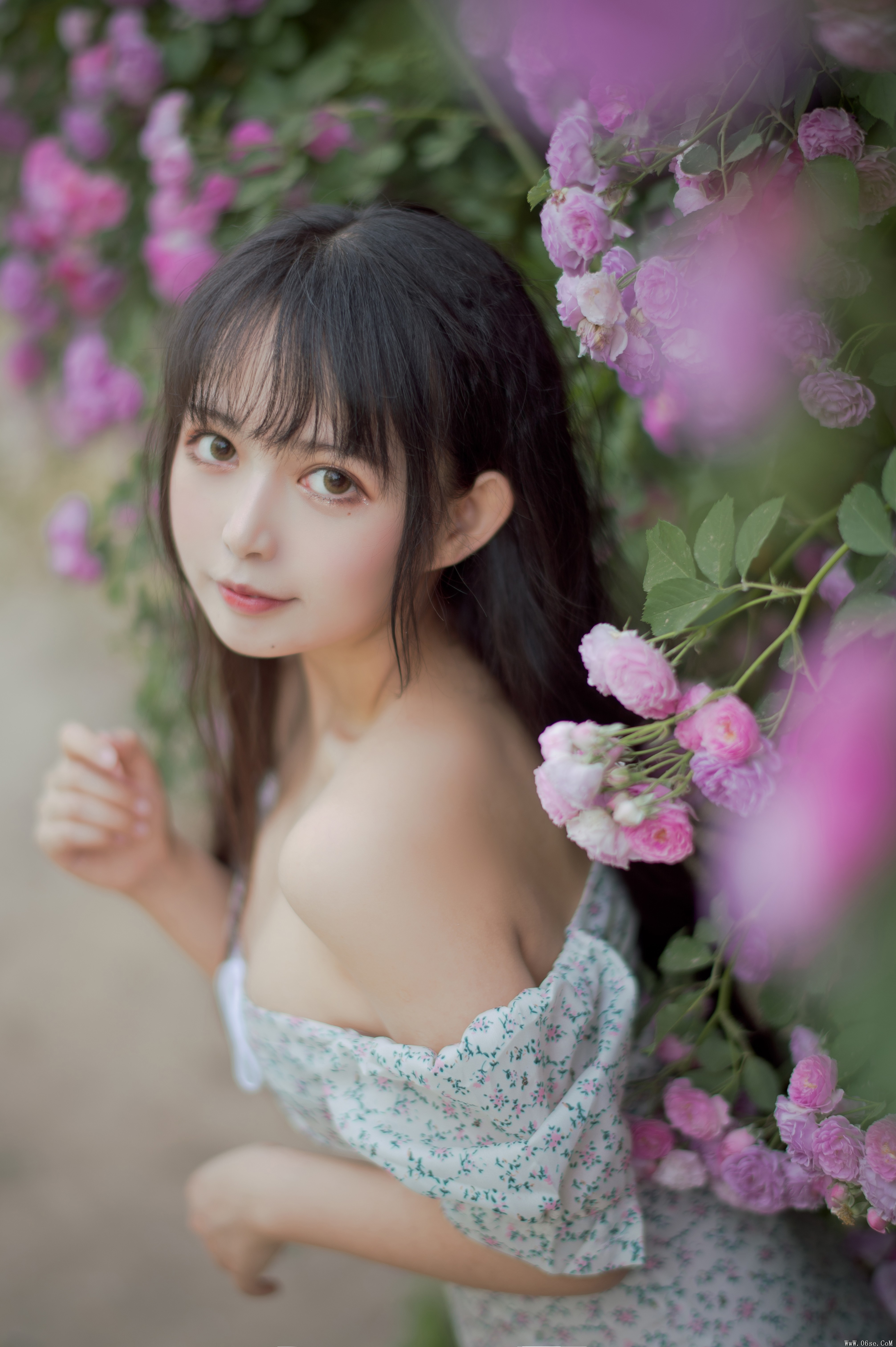 喵糖映画 VOL.338 蔷薇少女[24P／257MB]-六色网