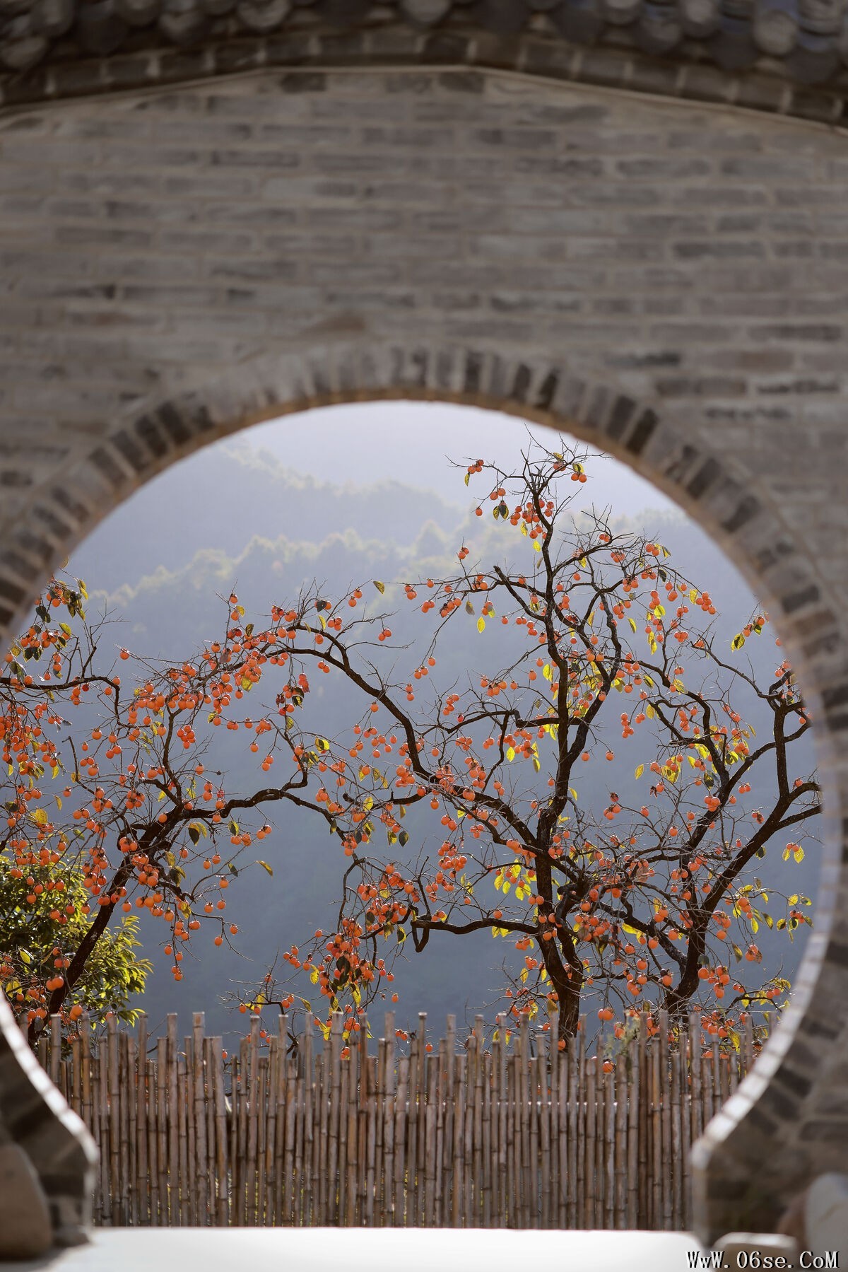 图片[19]-YiTuYu艺图语 Vol.7752 Xiao Shang Guan[20P]-六色网