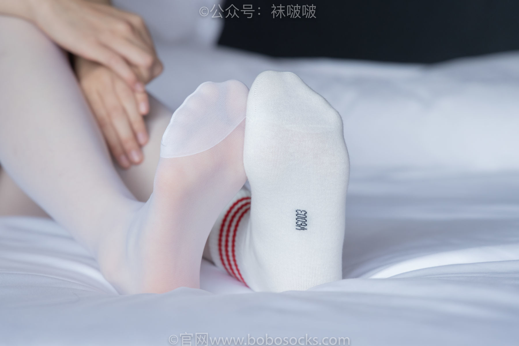 图片[86]-BoBoSocks袜啵啵 积分限定作品004 熊熊-板鞋、白棉袜、白丝[139P]-六色网