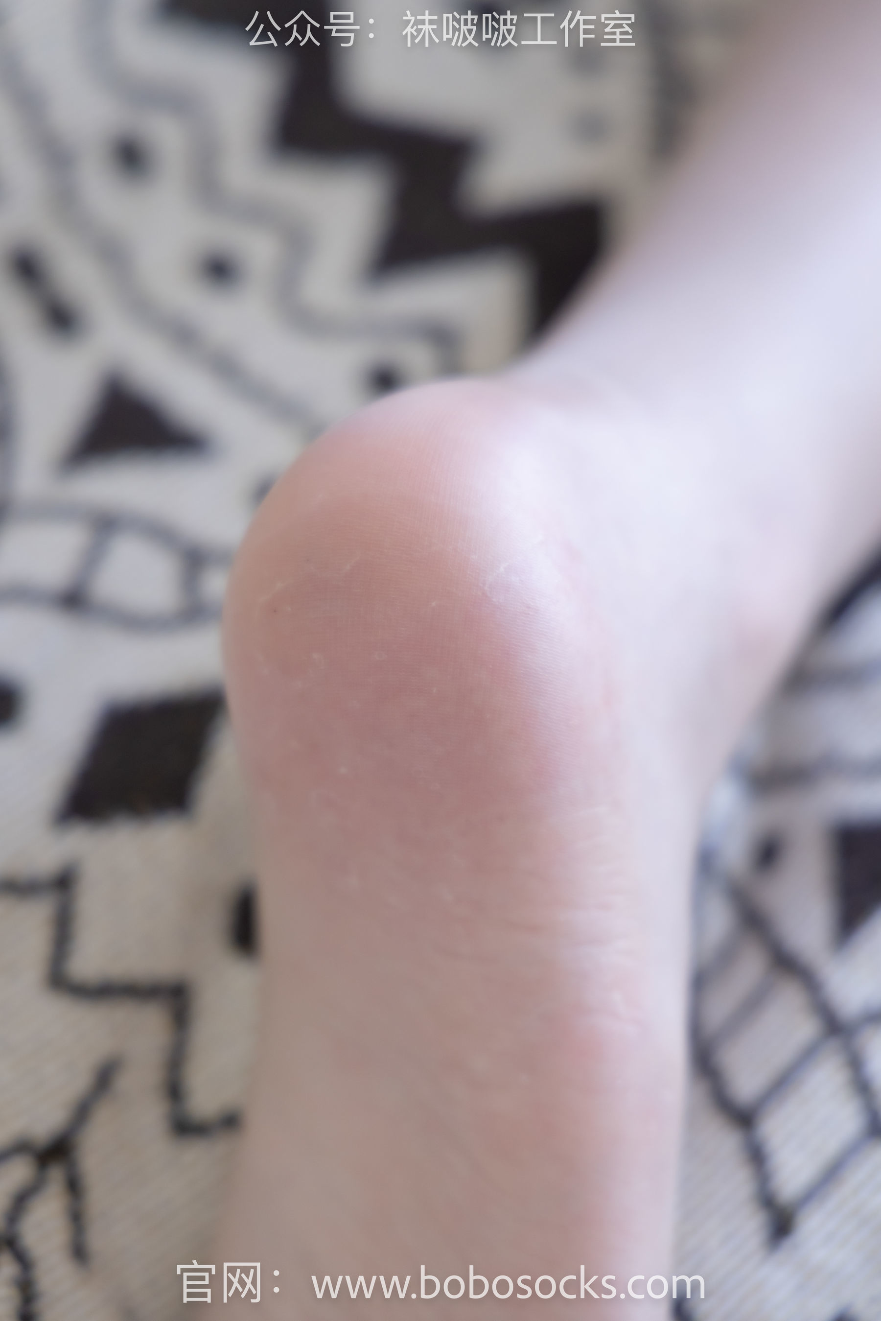图片[75]-BoBoSocks袜啵啵 No.111 小甜豆-高跟鞋、油亮肉丝[134P]-六色网