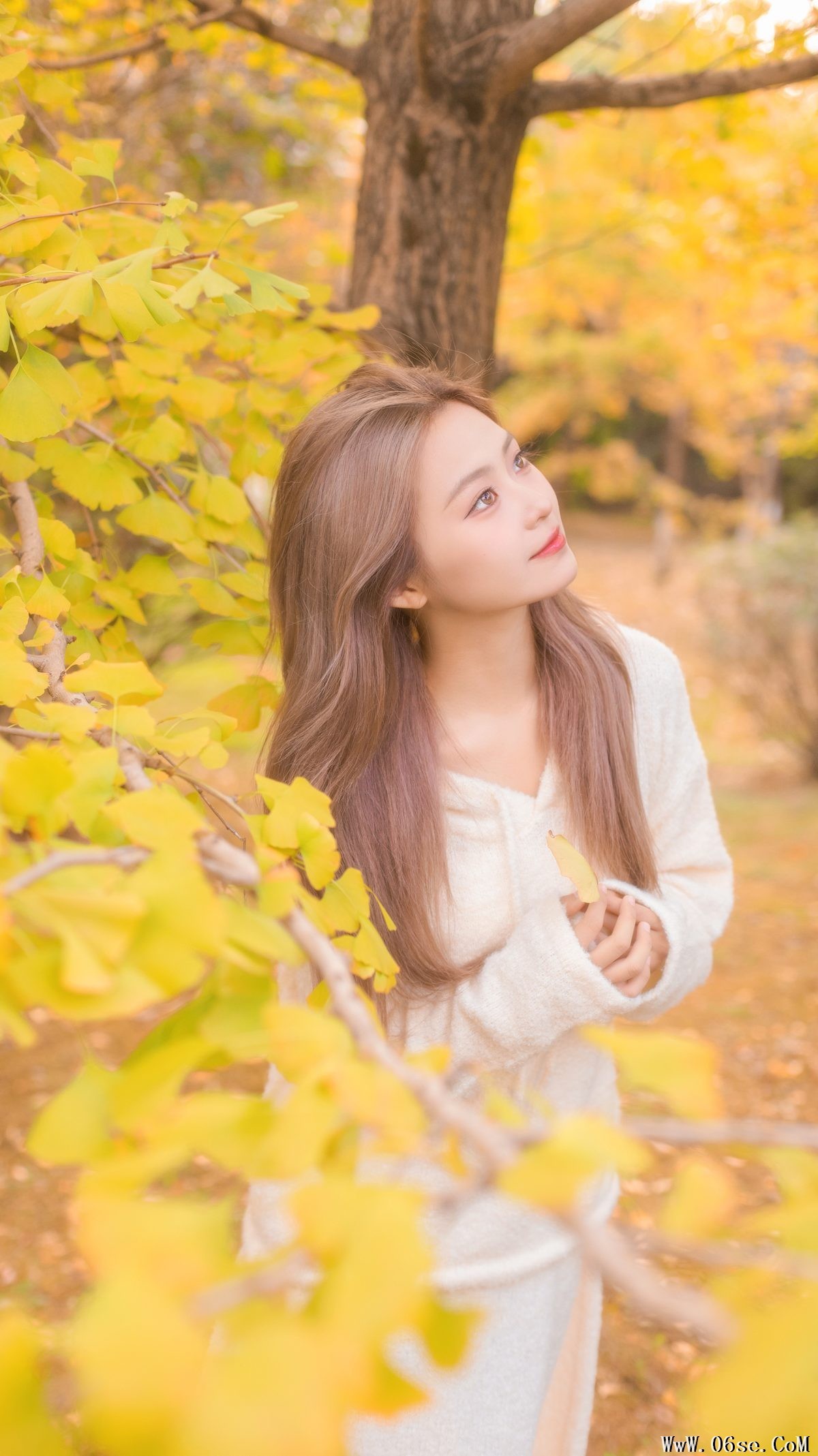 图片[14]-YiTuYu艺图语 Vol.5840 Gao Li Dai[34P]-六色网