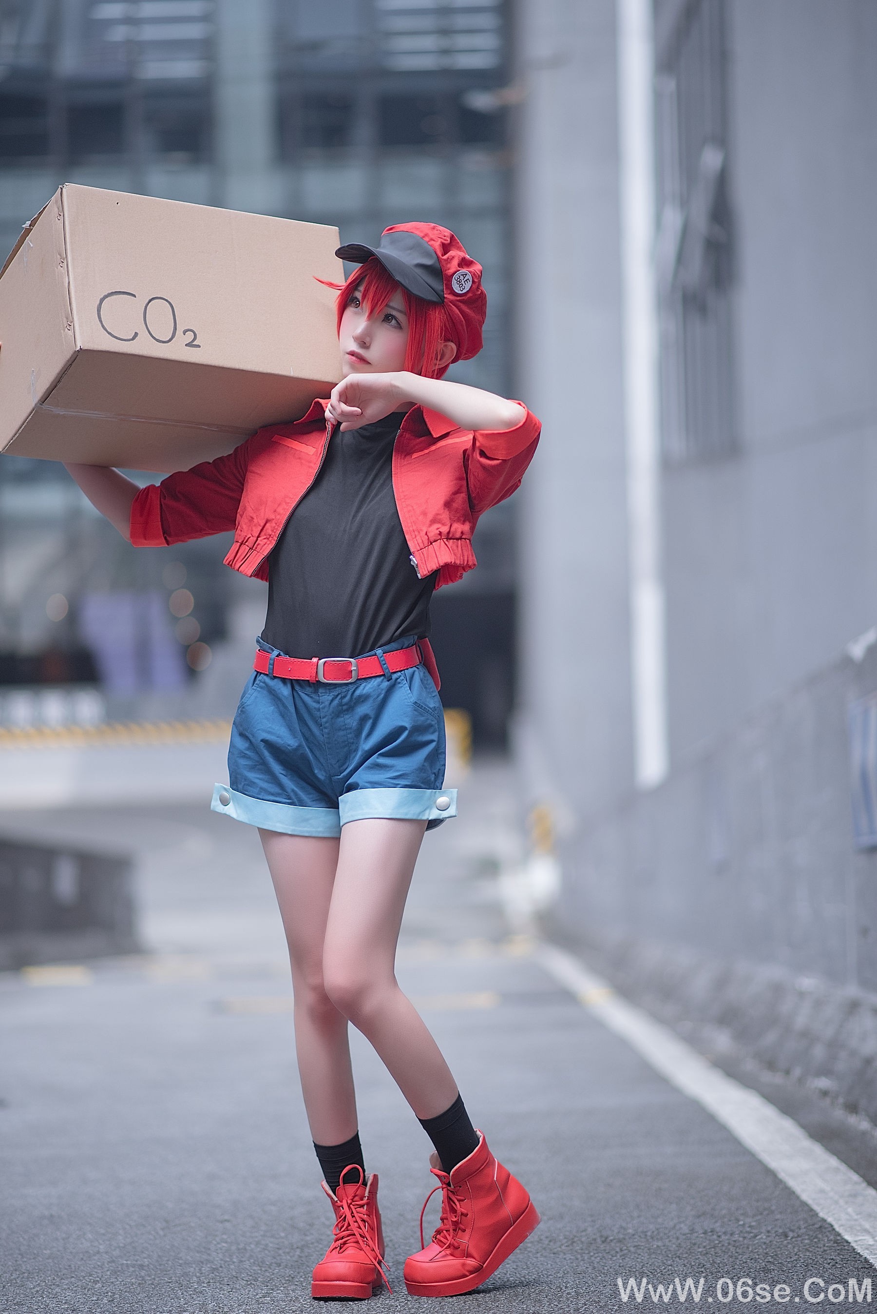 图片[53]-动漫博主Kitaro_绮太郎 工作细胞[58P]-六色网