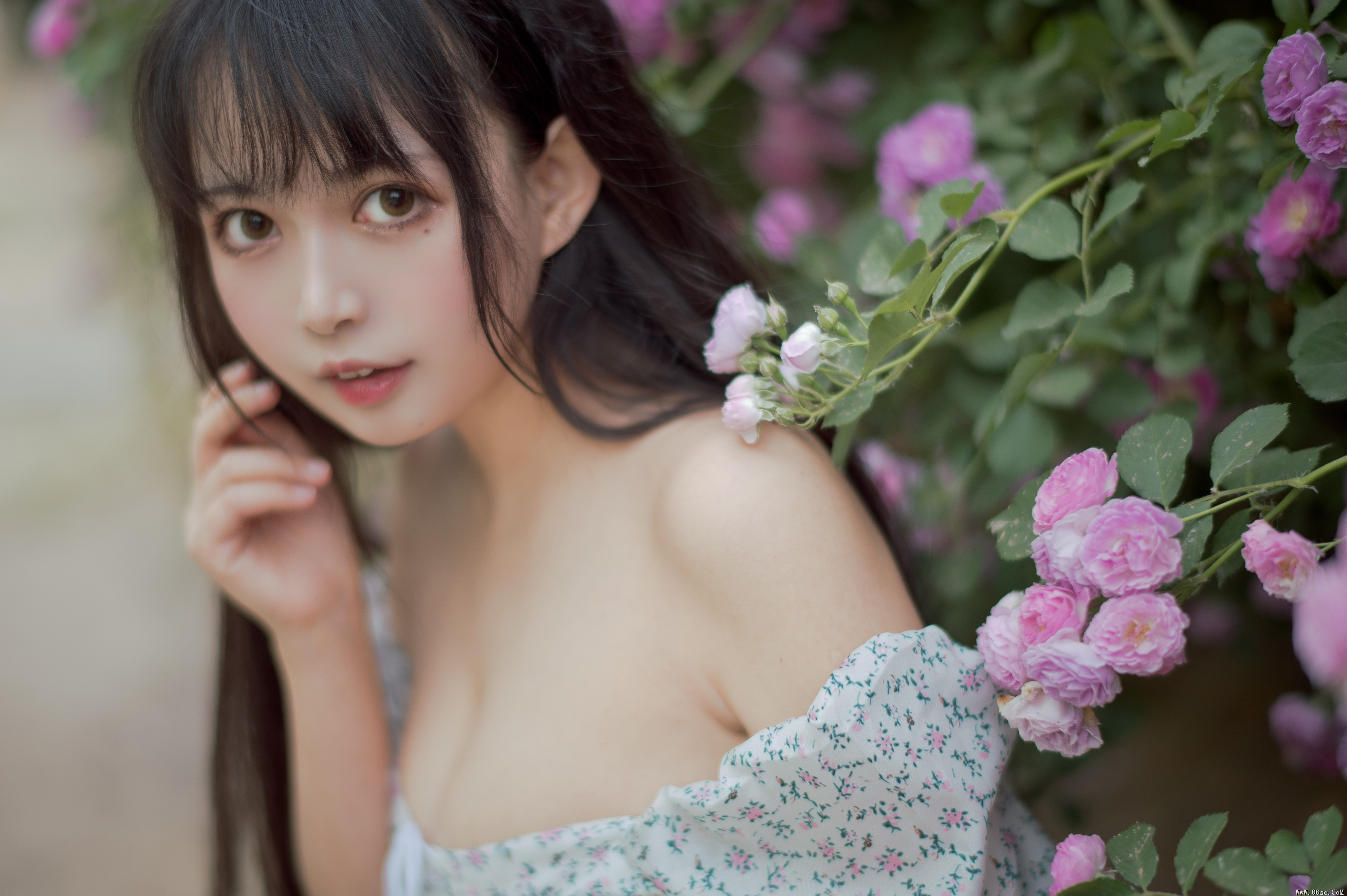 图片[19]-喵糖映画 VOL.338 蔷薇少女[24P／257MB]-六色网