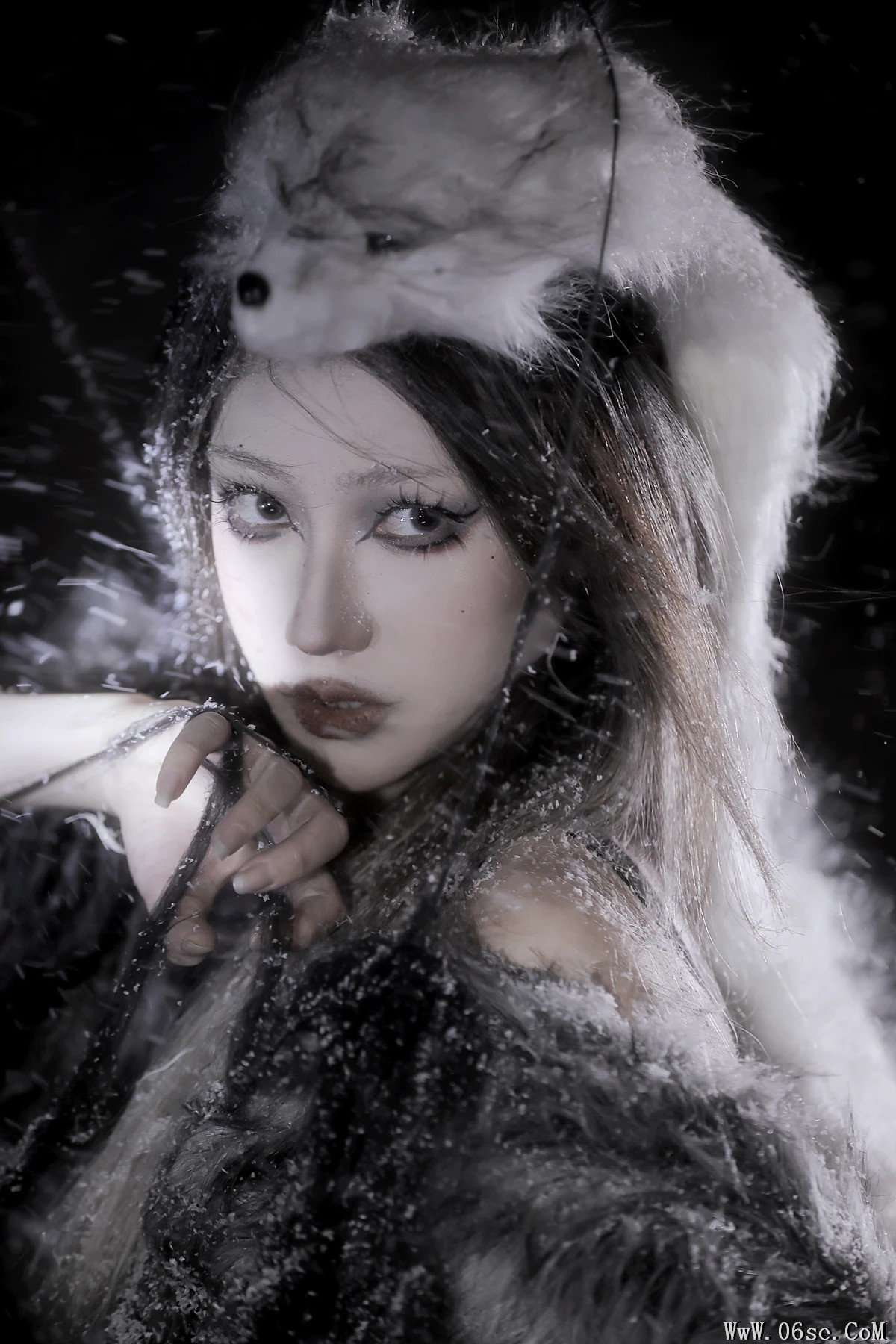 图片[12]-[艺图语]2023.02.04 Vol.2971 雪狐 [21P]-六色网