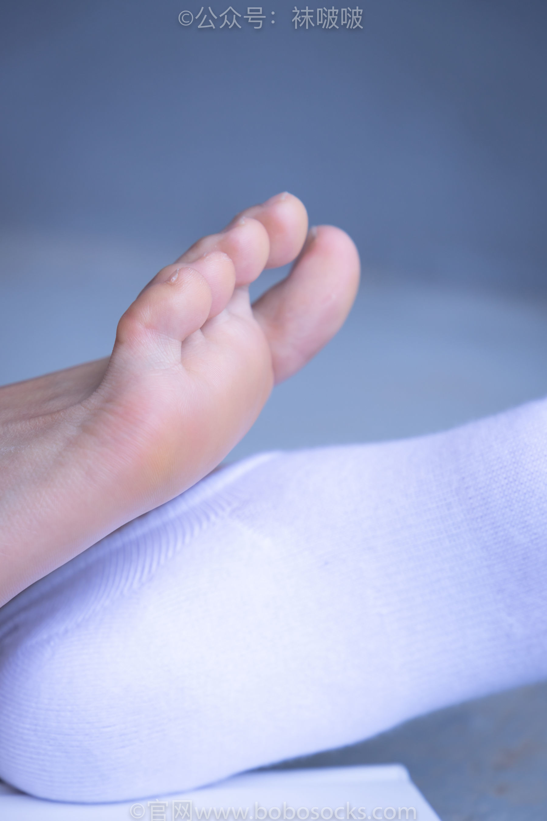 图片[85]-BoBoSocks袜啵啵 积分限定作品002 泡芙- AJ、白色棉质船袜、裸足[135P]-六色网