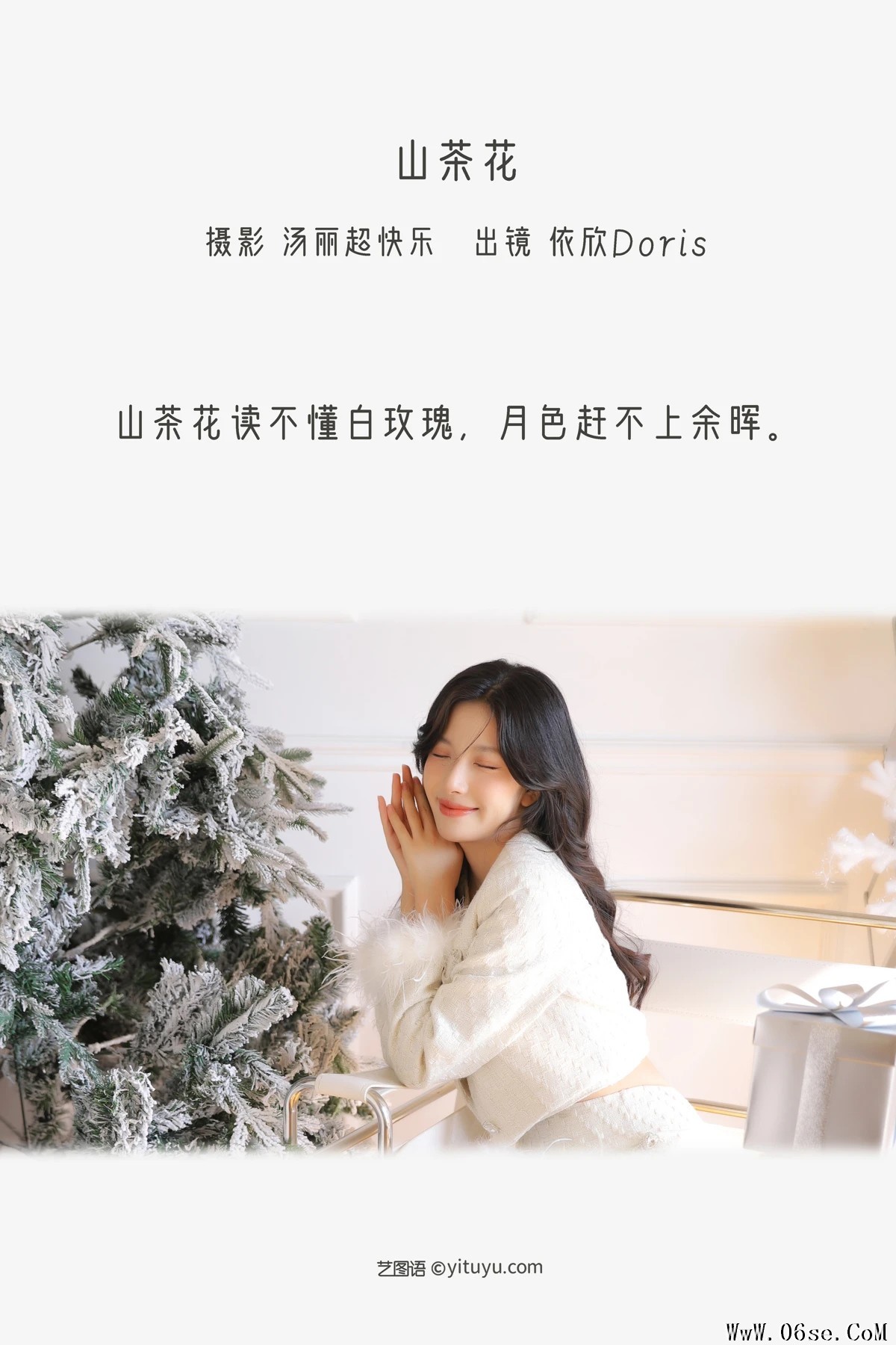 图片[2]-[艺图语]2022.12.16 Vol.2693 – 山茶花 [36P]-六色网