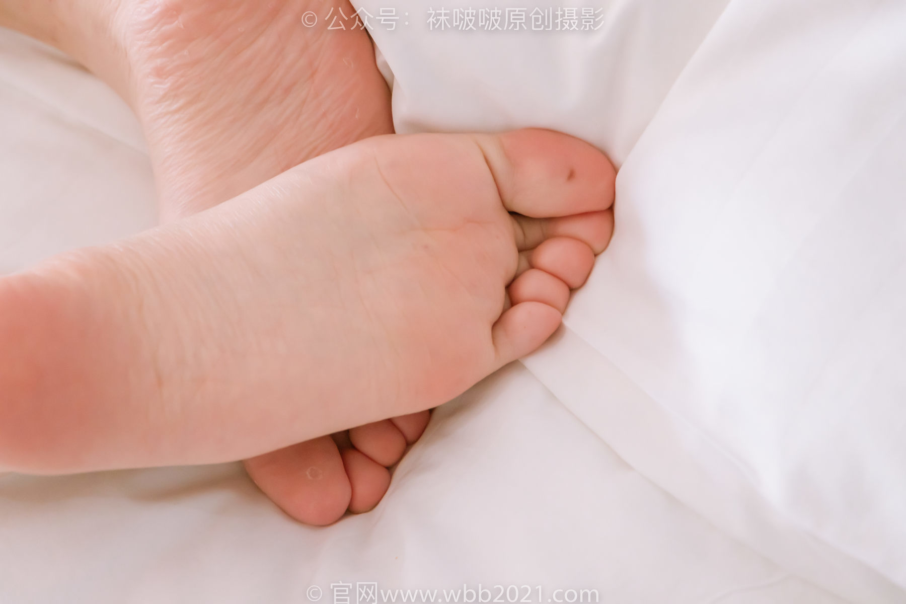 图片[37]-BoBoSocks袜啵啵 No.239 小甜豆-棉拖鞋、灰丝、裸足[140P]-六色网