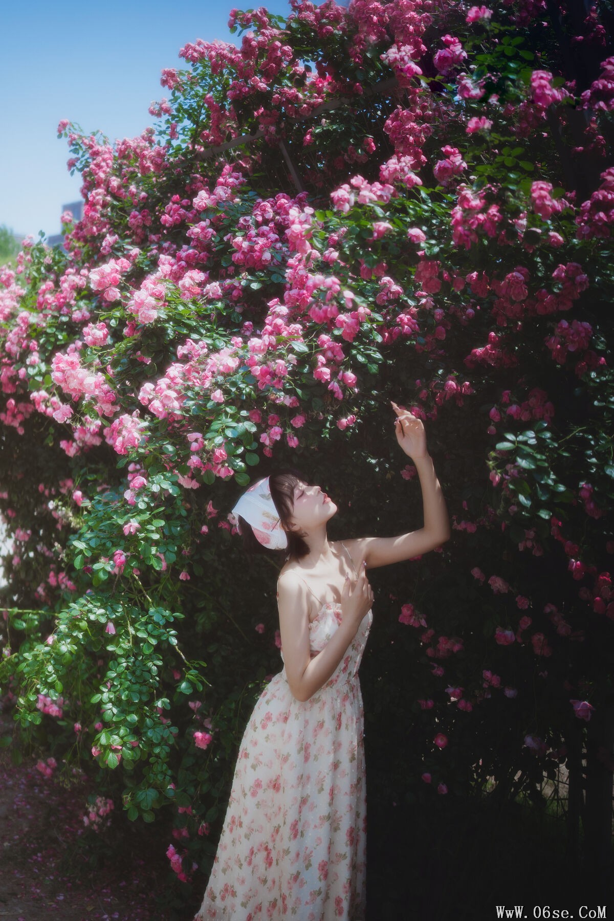 图片[24]-YiTuYu艺图语 Vol.7092 Disexi Si Ning[28P]-六色网