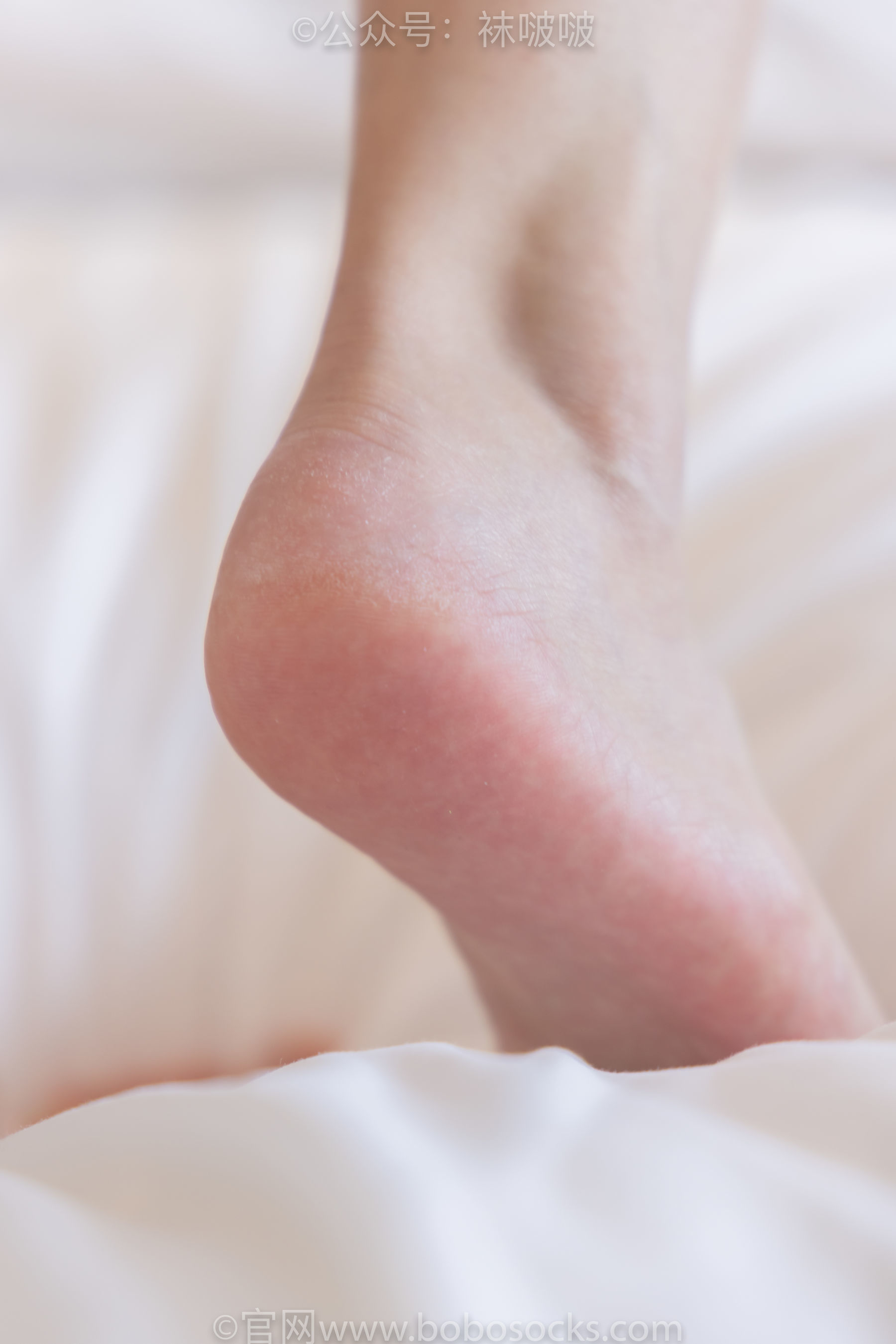 图片[137]-BoBoSocks袜啵啵 No.088 小安-高跟鞋、凉鞋、肉丝、裸足[140P]-六色网