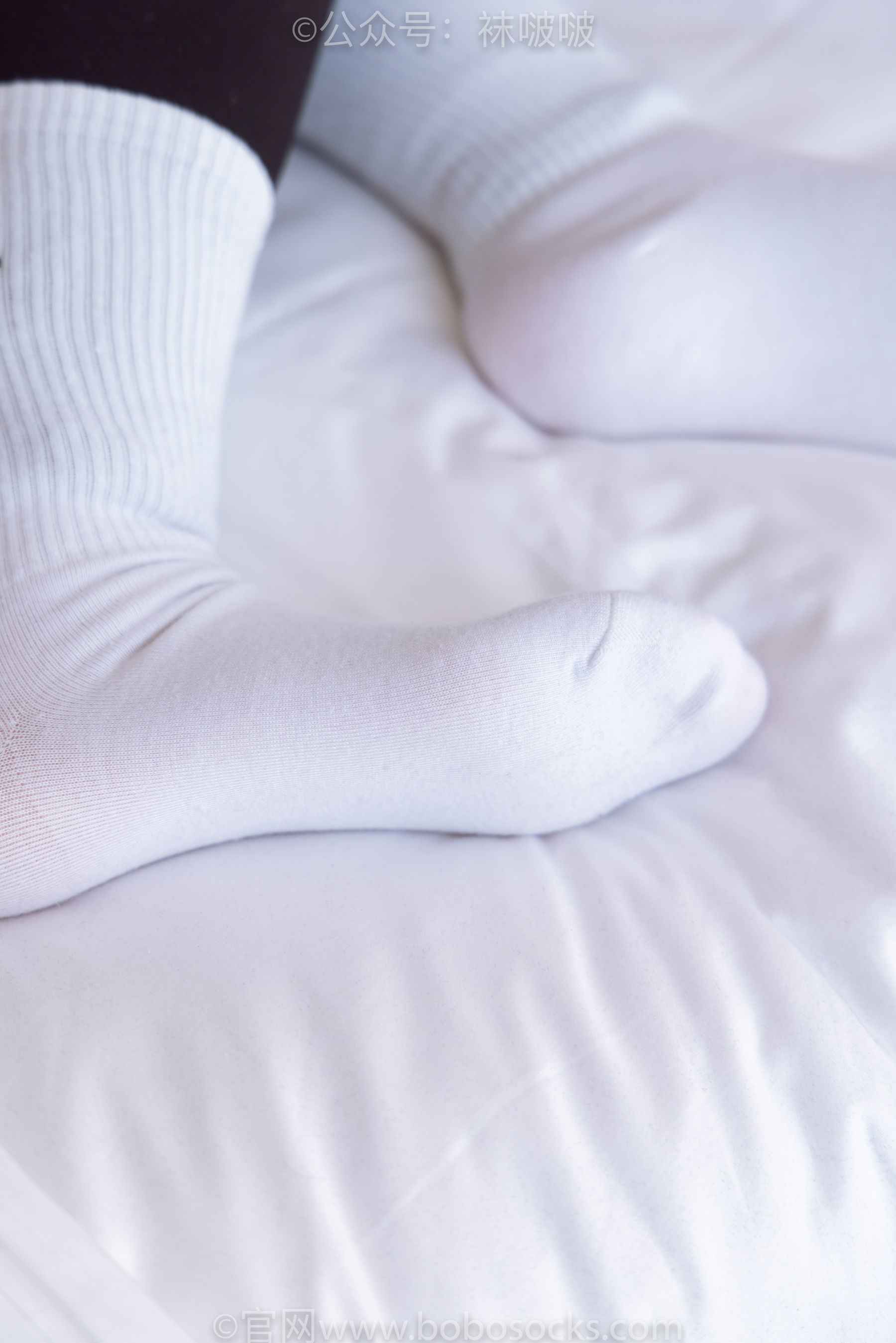 图片[50]-BoBoSocks袜啵啵 No.059 砂糖-AJ板鞋、白棉袜、裸足[142P]-六色网