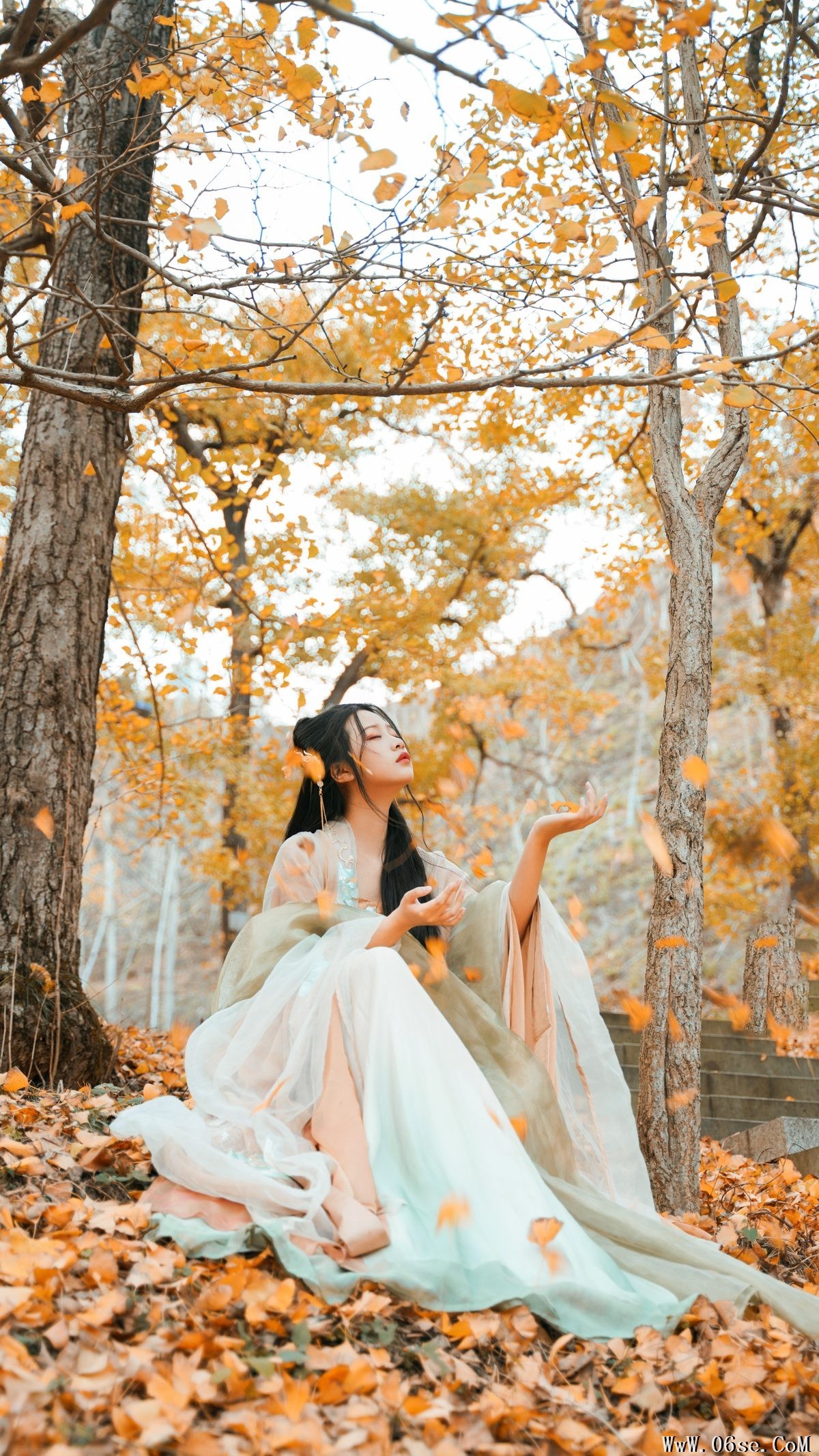 图片[35]-YiTuYu艺图语 Vol.3202 Wang Wang Xiao Xiao Shu[39P]-六色网