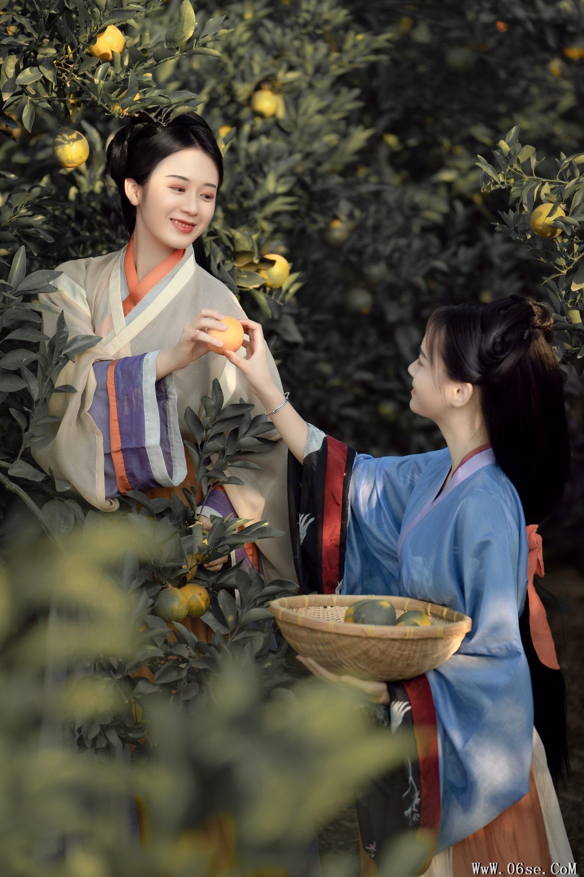 图片[4]-YiTuYu艺图语 Vol.4482 Shu Pian[23P]-六色网
